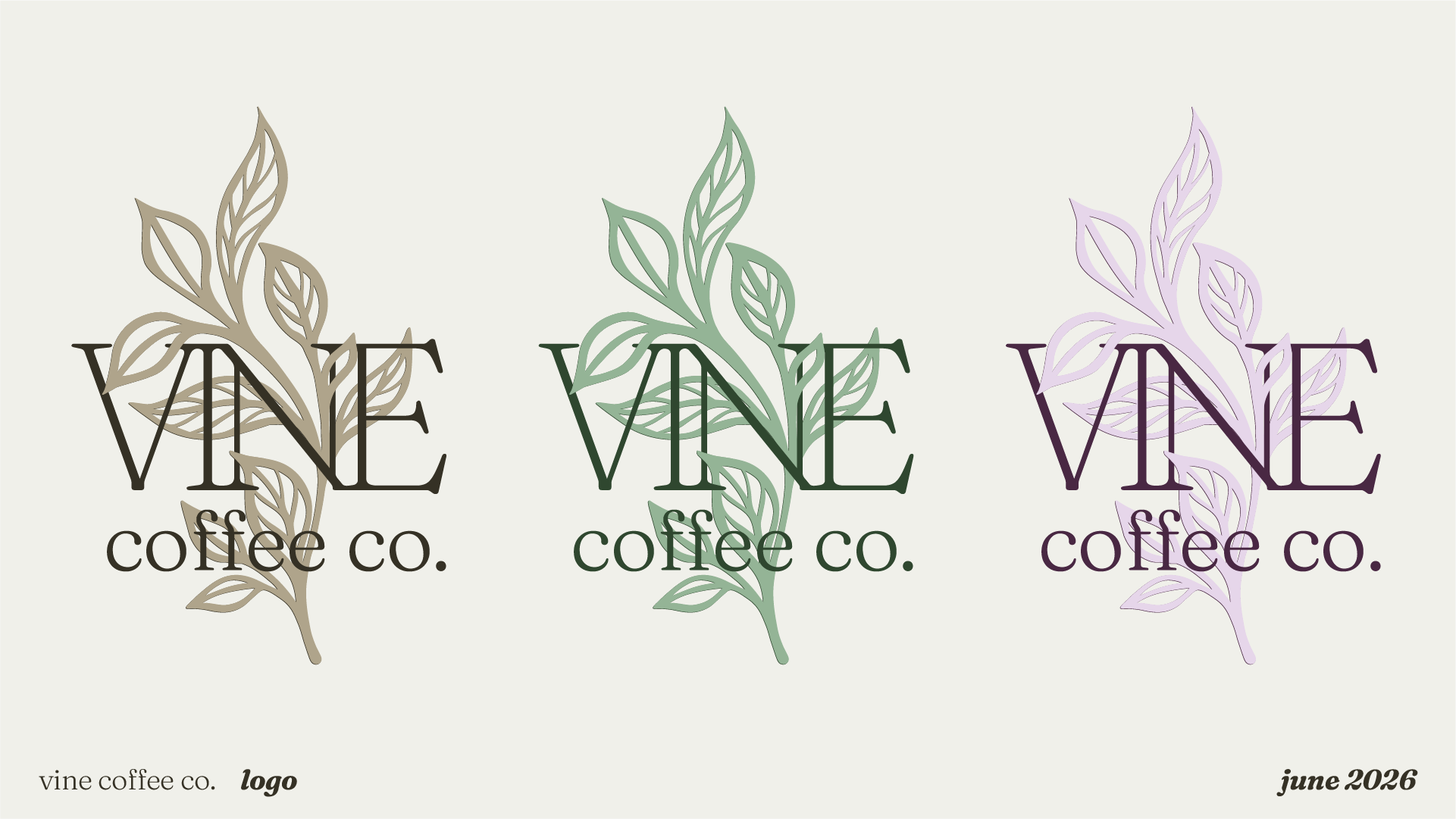 Three variations of a cafe logo, each featuring a stylized vine with leaves and the text 'Vine' in large font and 'coffee co.' below, in different colors: beige, green, and purple, with the date 'June 2026' at the bottom right.