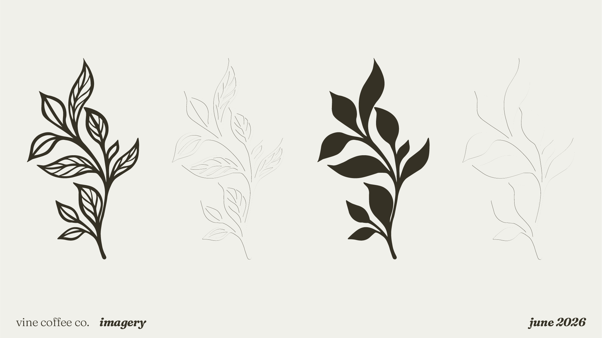 Decorative black and white botanical leaf illustrations on a light background, with text indicating 'vine coffee co.', 'imagery', and 'June 2026' at the bottom.
