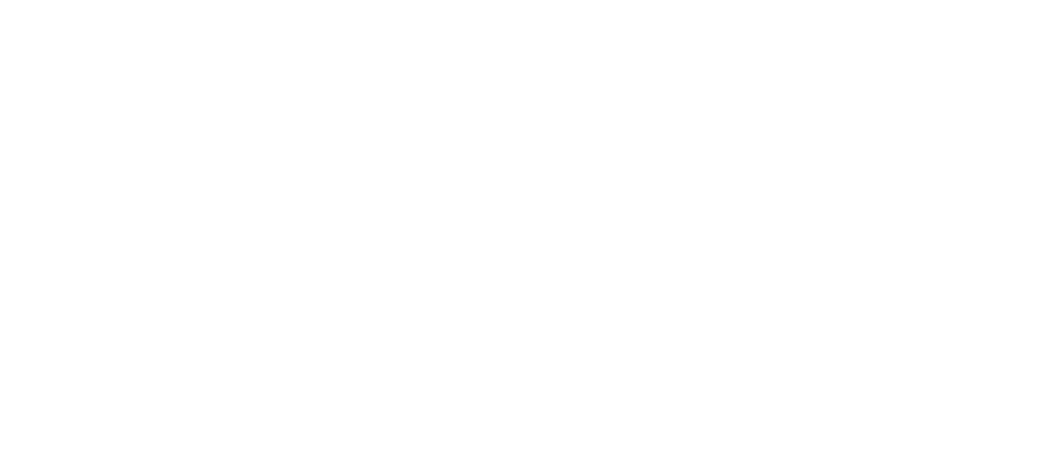 Barware Boutique