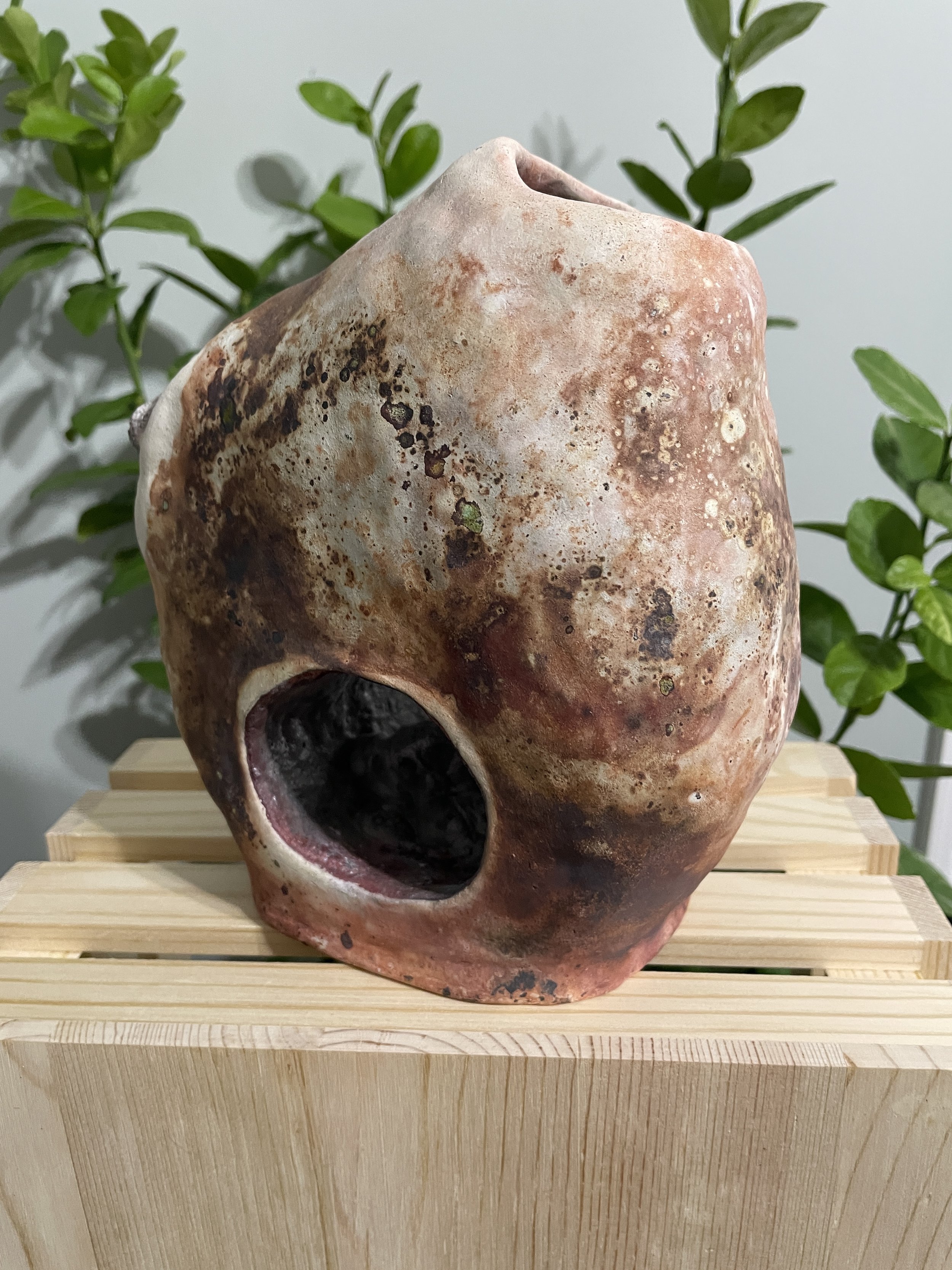 Saggar-fired Hollow-center Vase