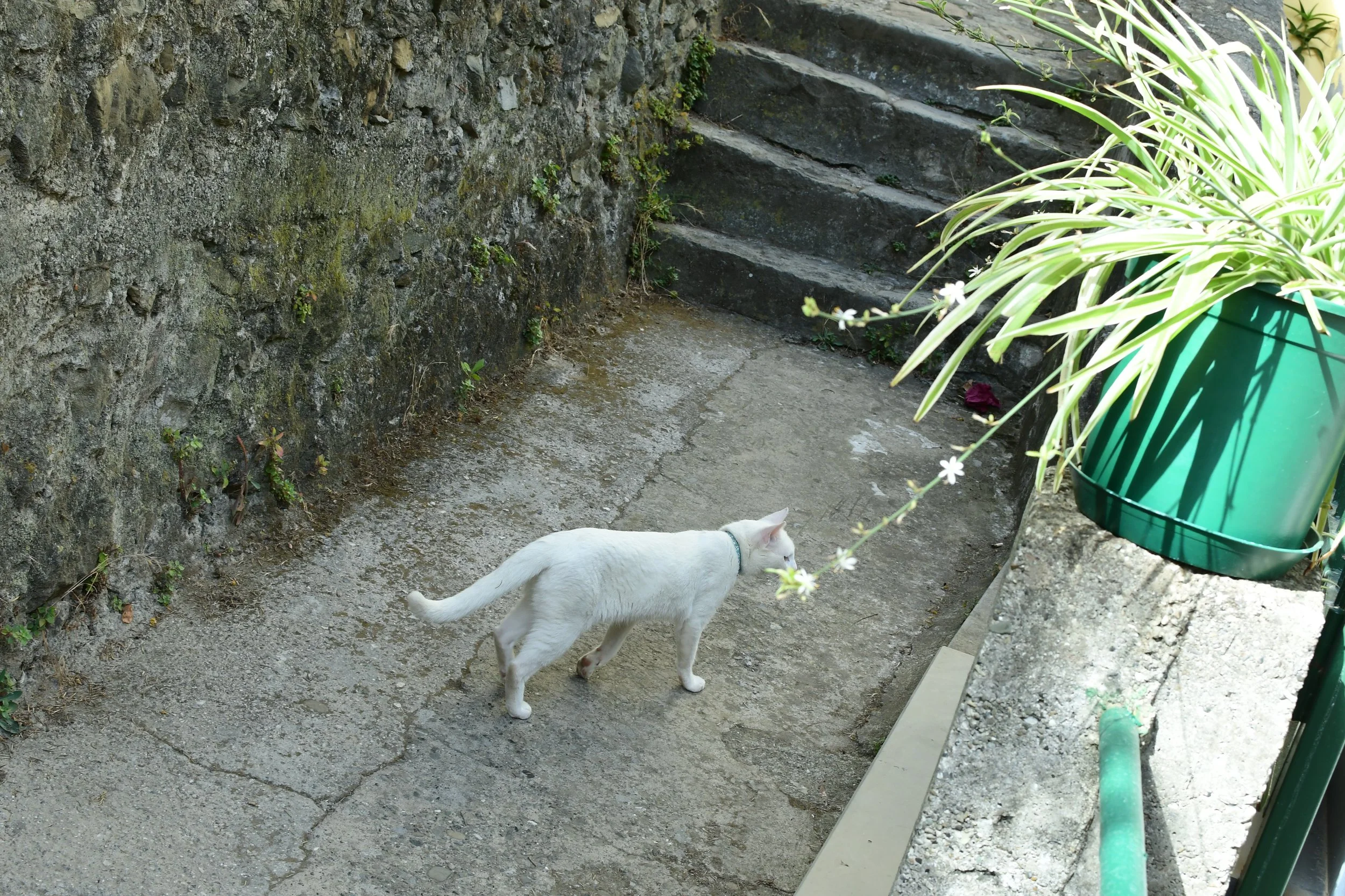 DSC_0364.JPG