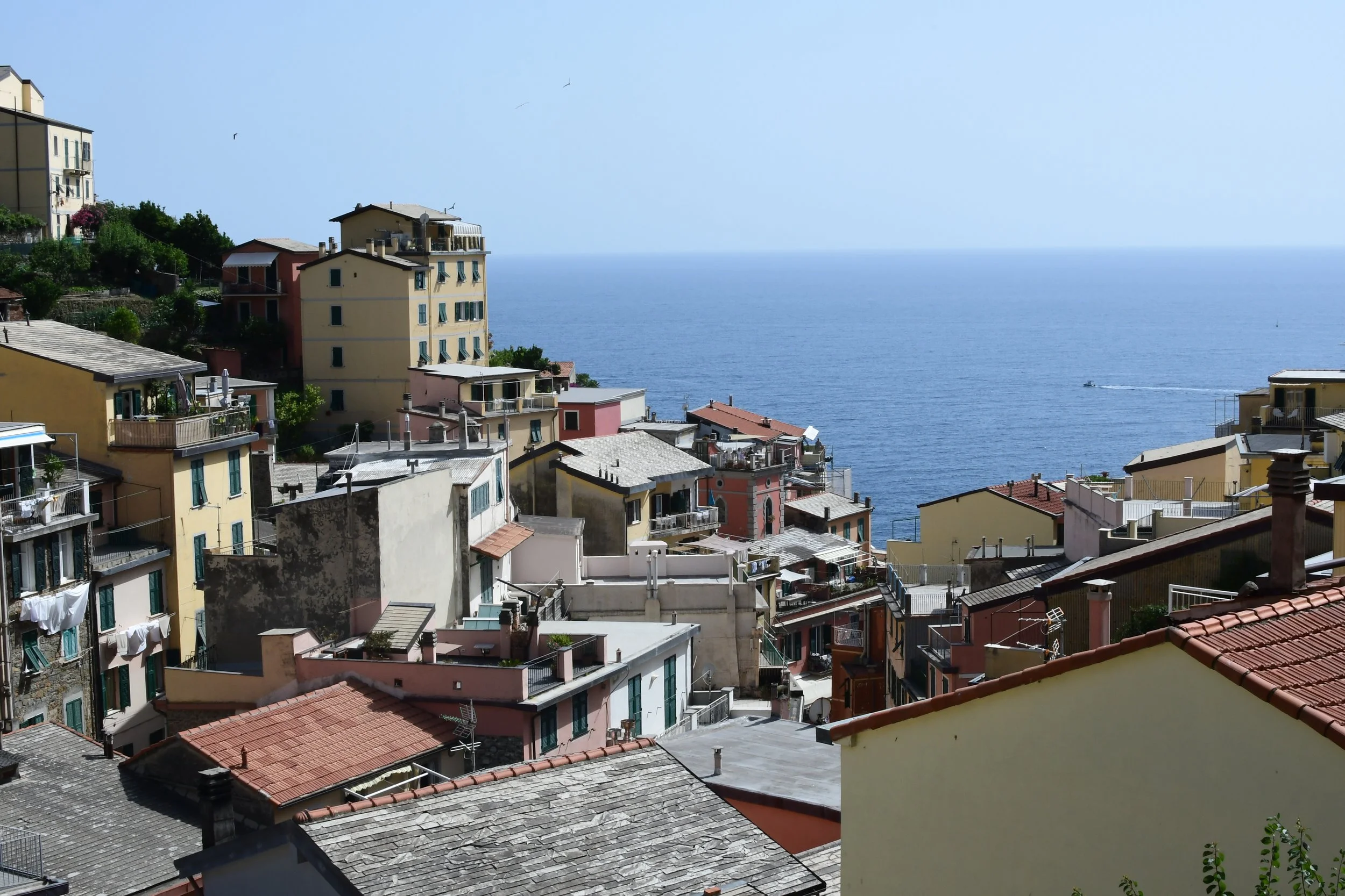 DSC_0281.JPG