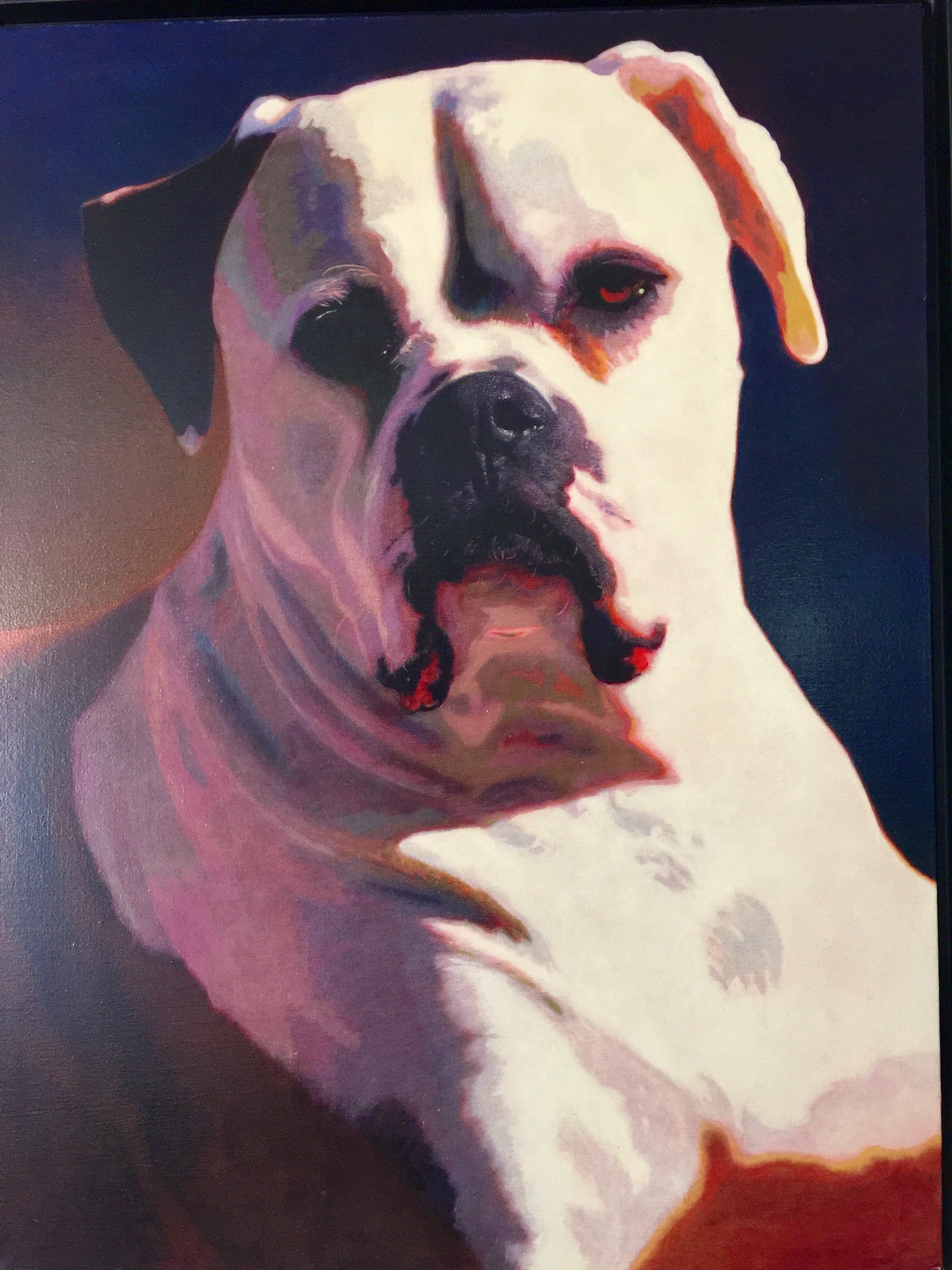Buddy    (Private Collection)
