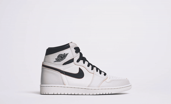 jordan1sb.gif