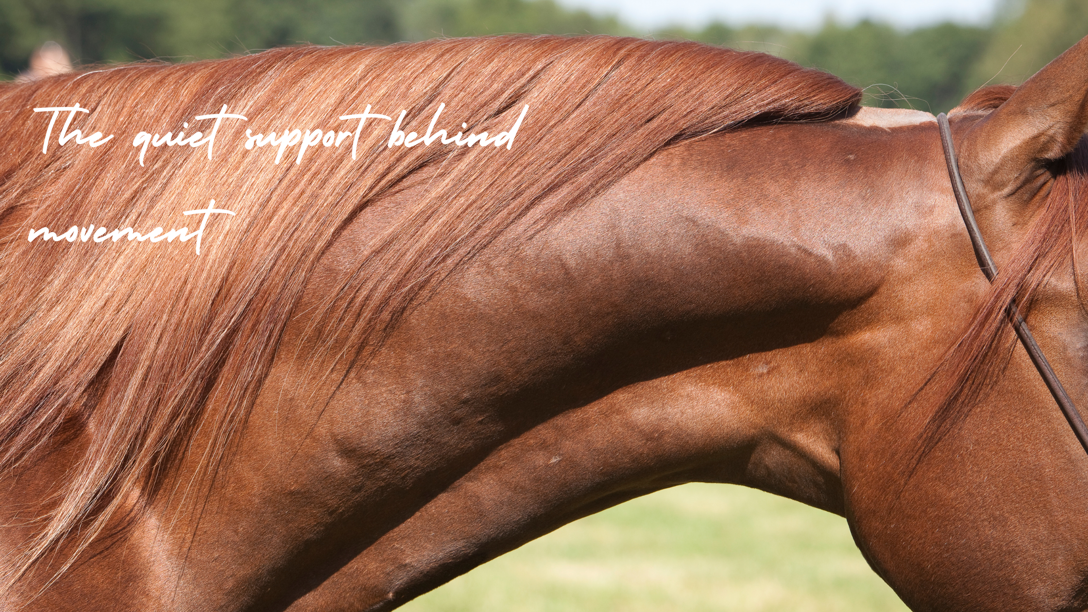 The Quiet Thread that Holds Everything Together