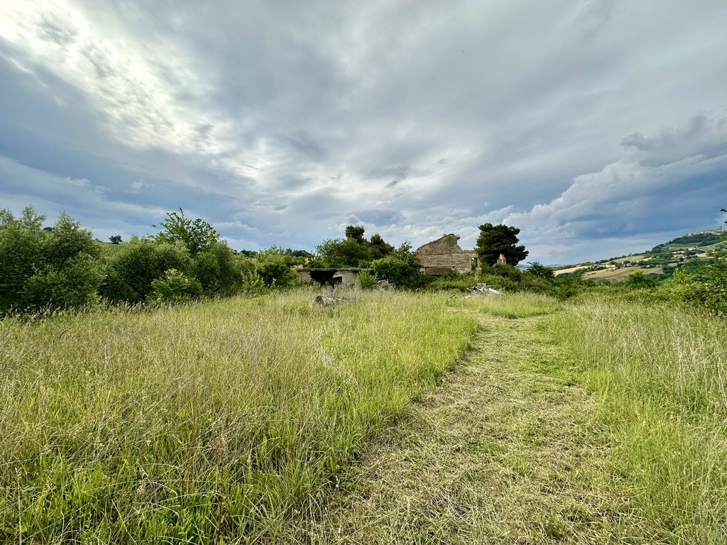 1118DC6D-51D9-471A-9998-6765D93C0E8F_1_105_c.jpeg