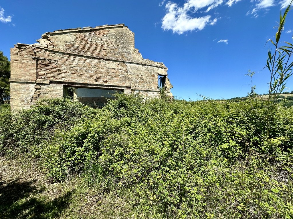 5FE0188D-8DF1-4D99-A5AA-AA7E769602BB_1_105_c.jpeg