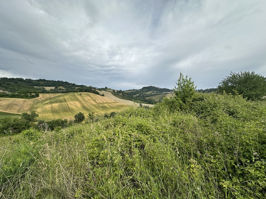 D44E520C-2187-49C1-A863-F7FBC379B704_1_105_c.jpeg