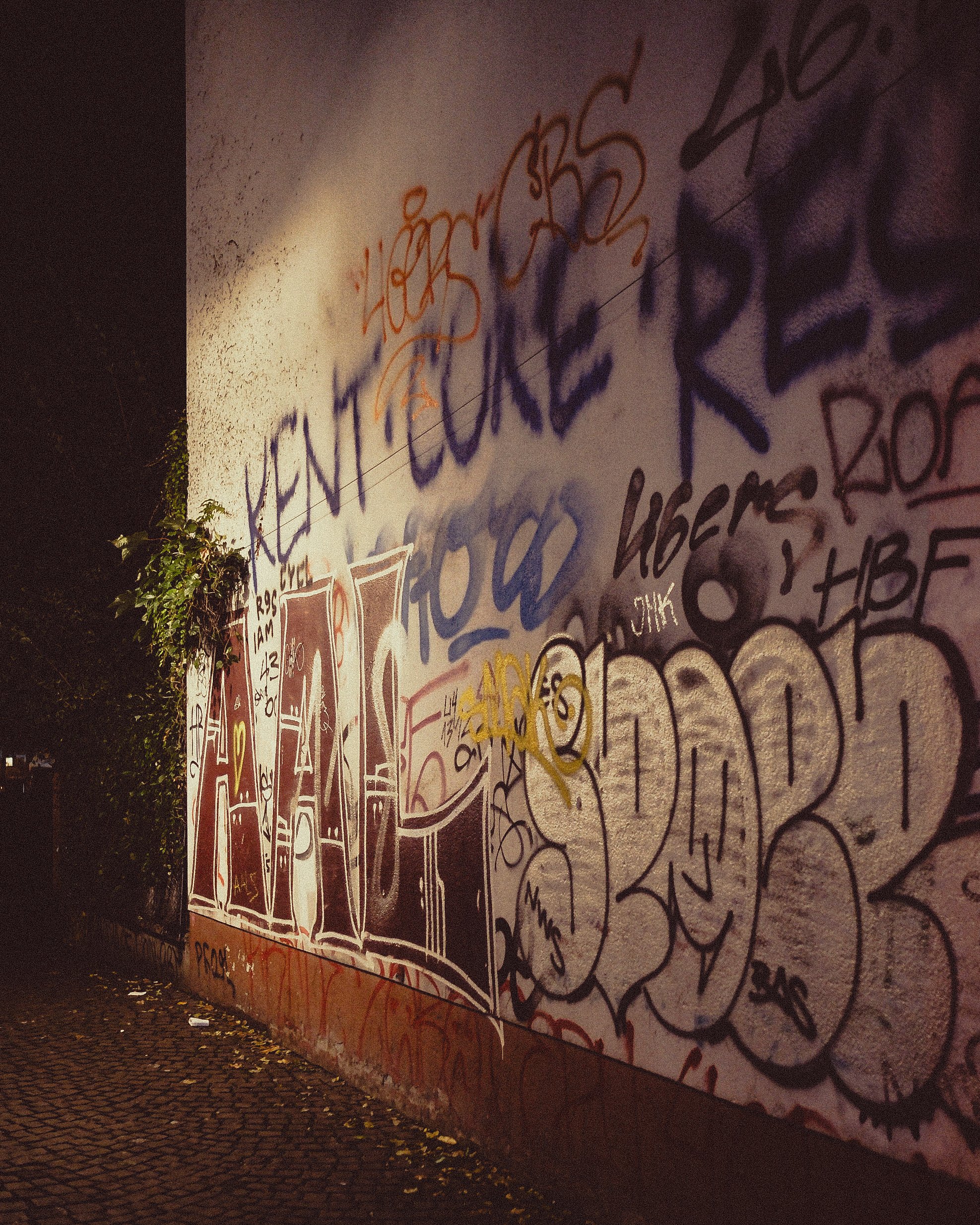 46356F62-1752-45E9-ADC8-4E4BE9C8F975-30131-00001BEC2F84A966.jpeg