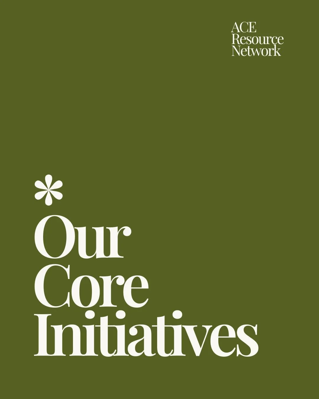 At ACE Resource Network, we know systems don&rsquo;t change with one-size-fits-all solutions. That&rsquo;s why we&rsquo;re moving forward with four strategic initiatives that are each designed to meet the moment, meet states where they are, and scale
