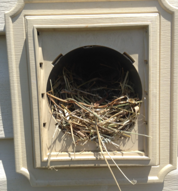Dryer vent cleaning in Dardenne Prairie MO