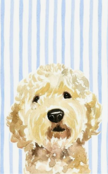 Illustration of a fluffy, light-colored dog with dark eyes and nose, set against a blue and white striped background.