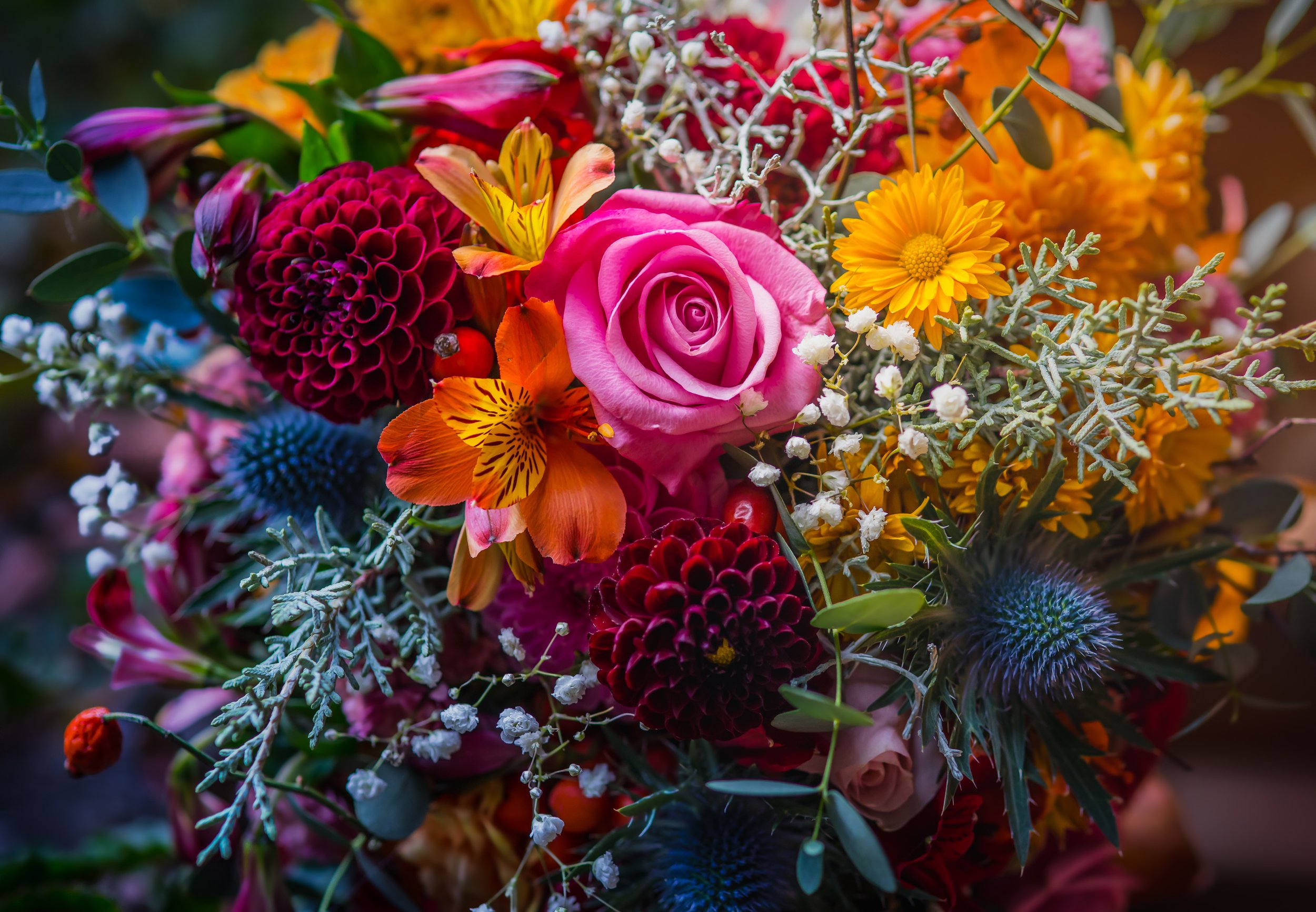 AdobeStock_187094556.jpeg