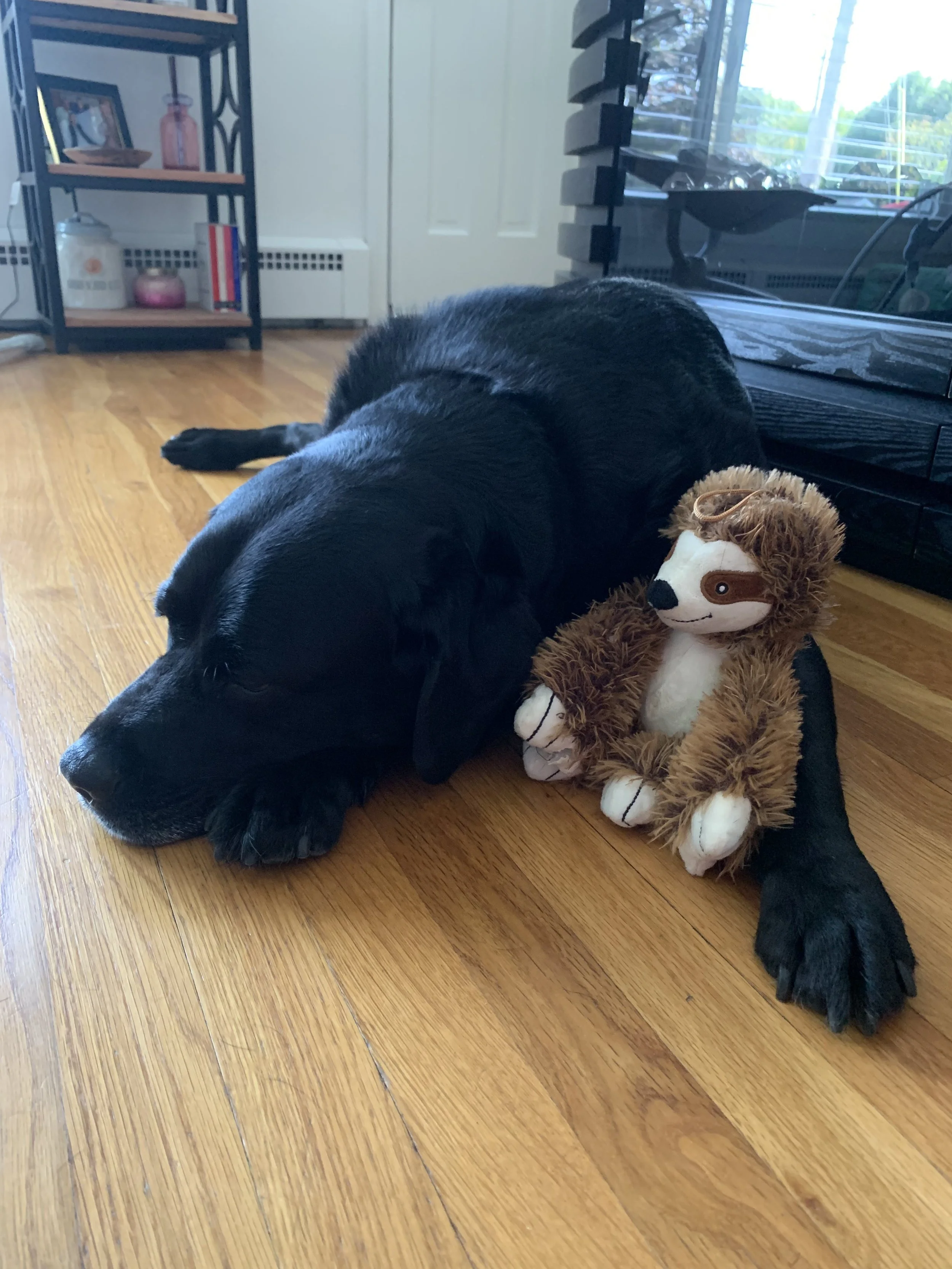 Related Video Item Thumbnail