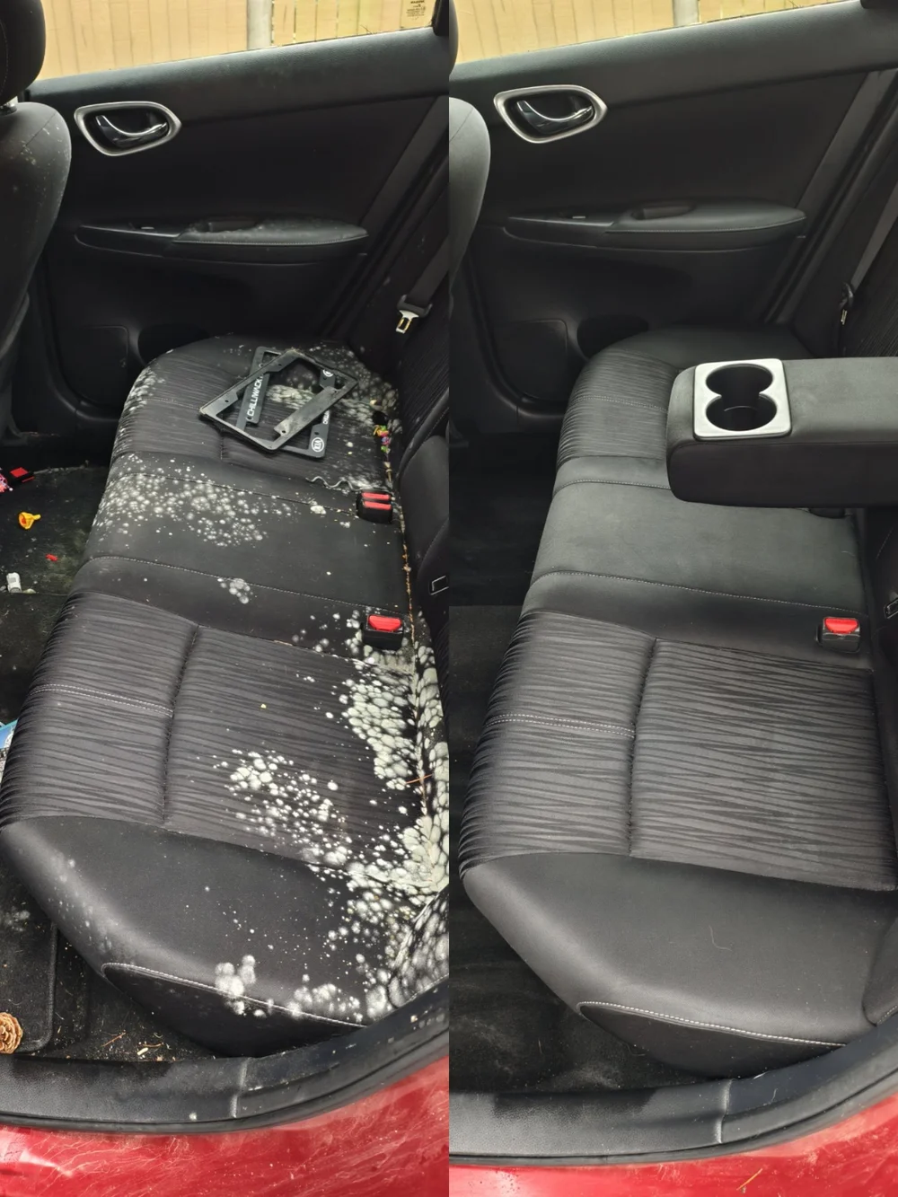 Original vehicle mold cleaning comparison