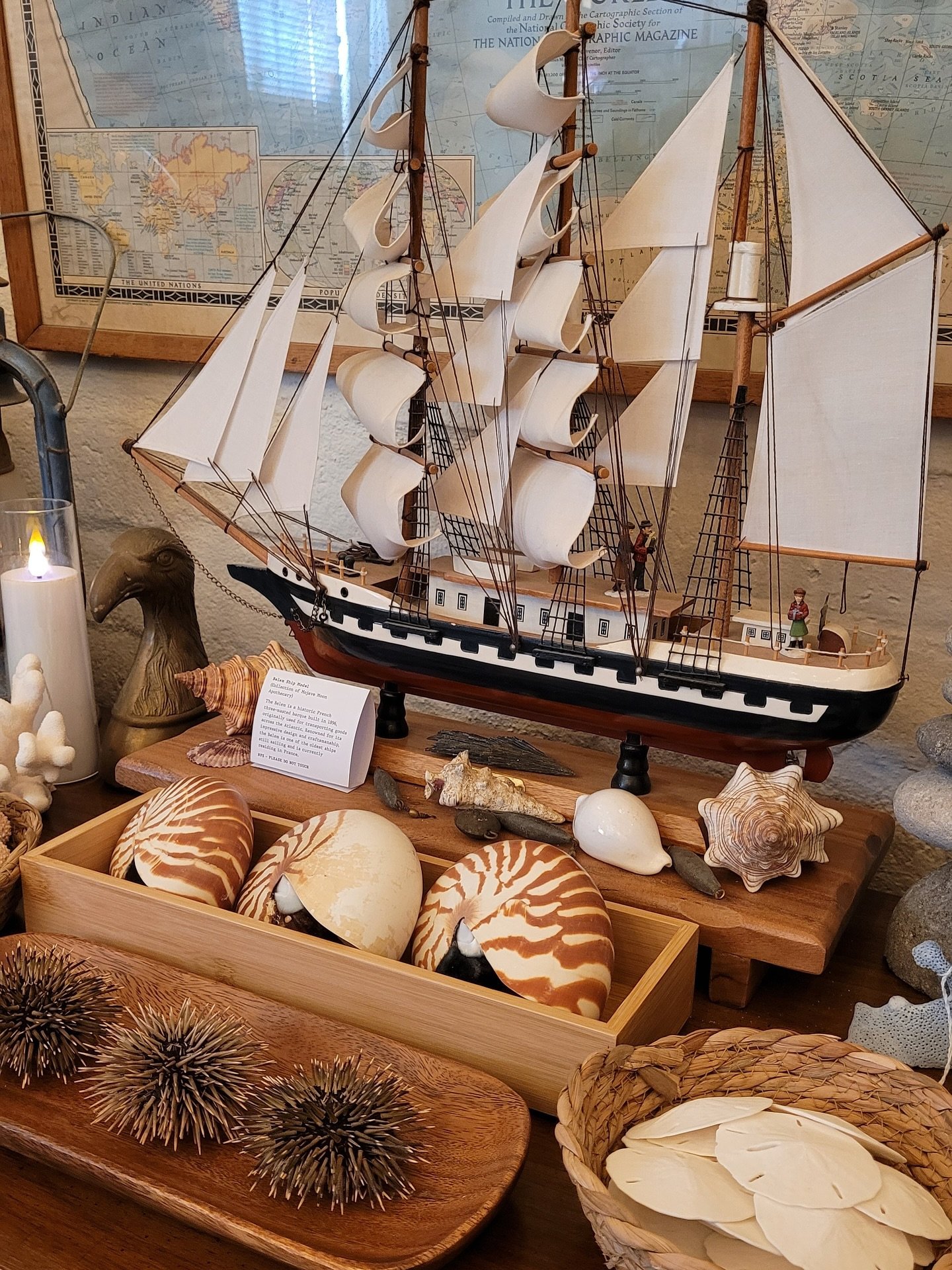 Take a trip to the sea at the new pop up installation at @mojavemoonapothecary 🐚

 ⚓️ The Nautilus Room ⚓️

Full of oceanic curiosities, it&rsquo;s a must sea! 🦀