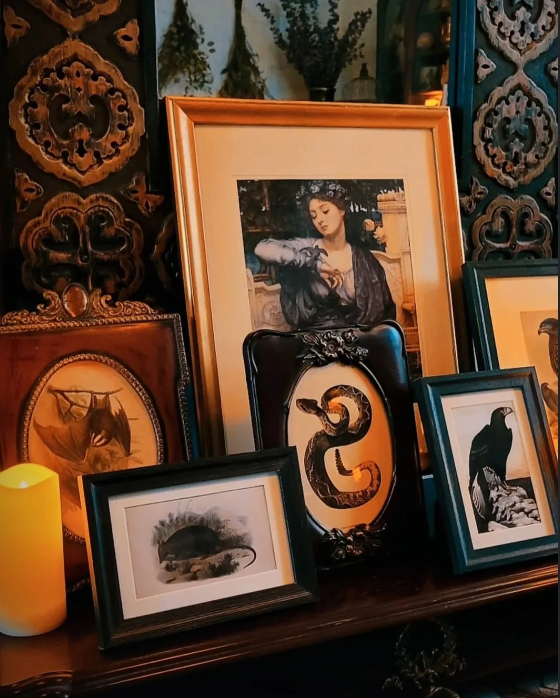 Witching Season is here! 🕯️
Make sure to visit The Curious Cabinet of @mojavemoonapothecary filled with magic, mystery and unique specimens 🕷️

This haunted pop up is open now 💀