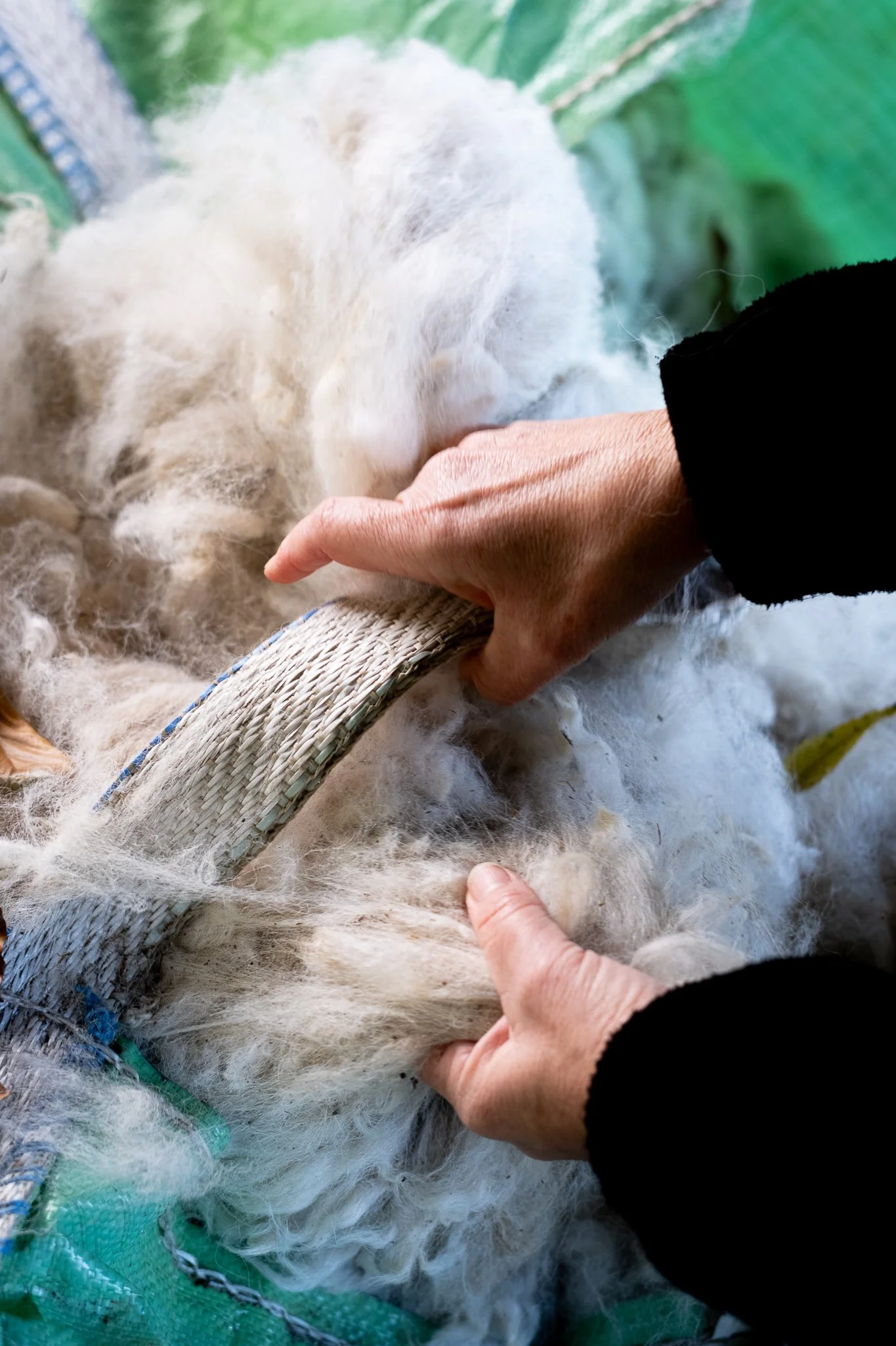 Greencare_Cillian_C Turner_socials 2-10.jpg