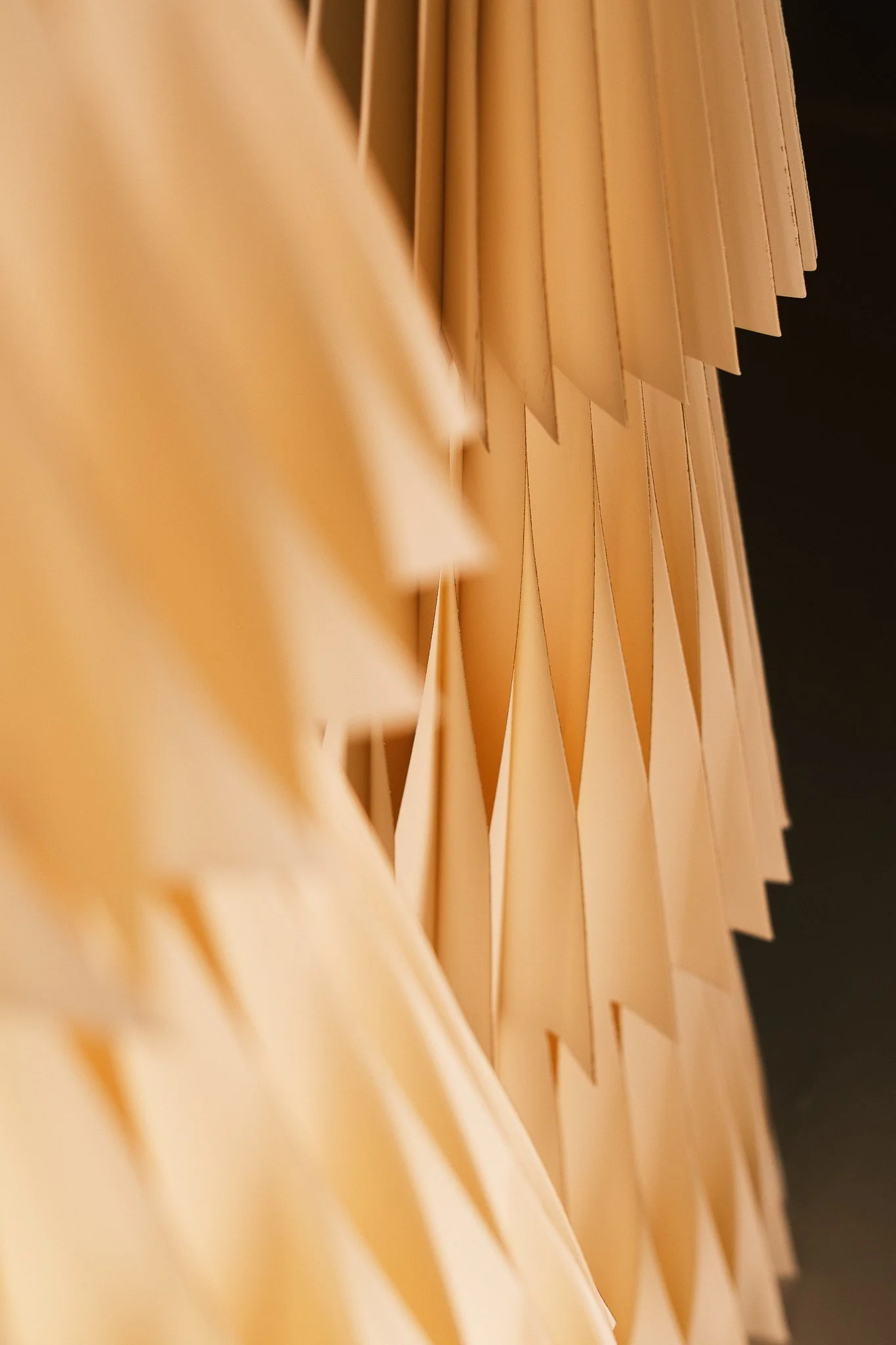 Noko 16.10.05 CTurner-54.jpg