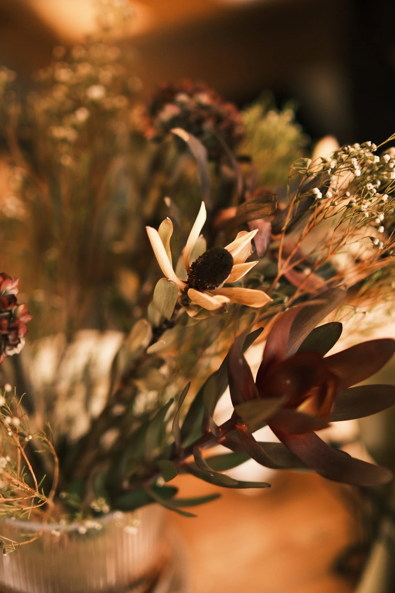 Wellness at 61_socials_C TurnerNov 25-21.jpg