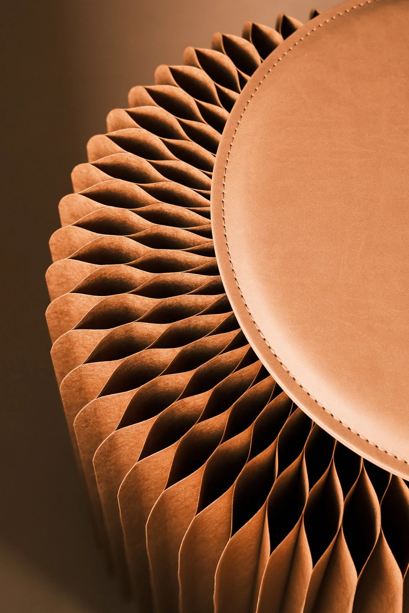 Noko 16.10.05 CTurner-29.jpg