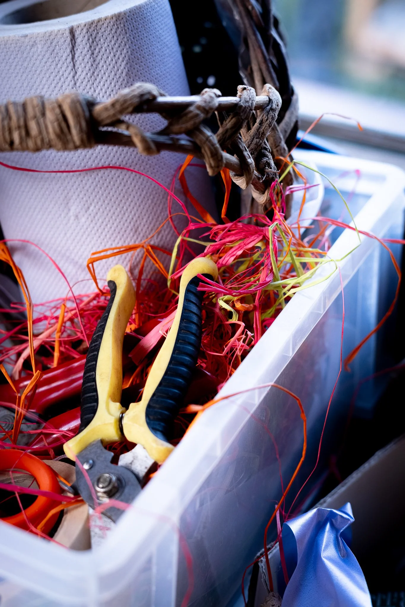 Greencare_Cillian_C Turner_socials 2-6.jpg