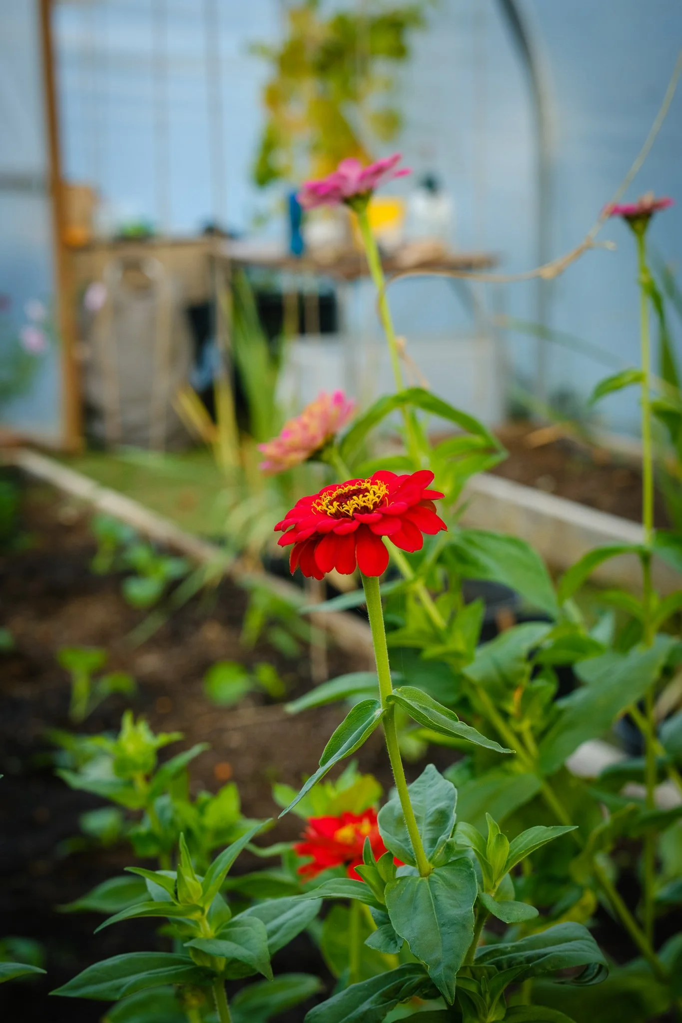 Greencare_Cillian_C Turner_socials 4.jpg