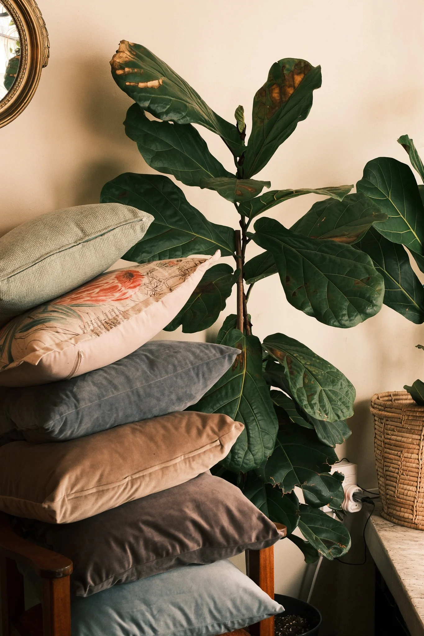 Julia Reverie_socials_Nov 25noncrop-7.jpg