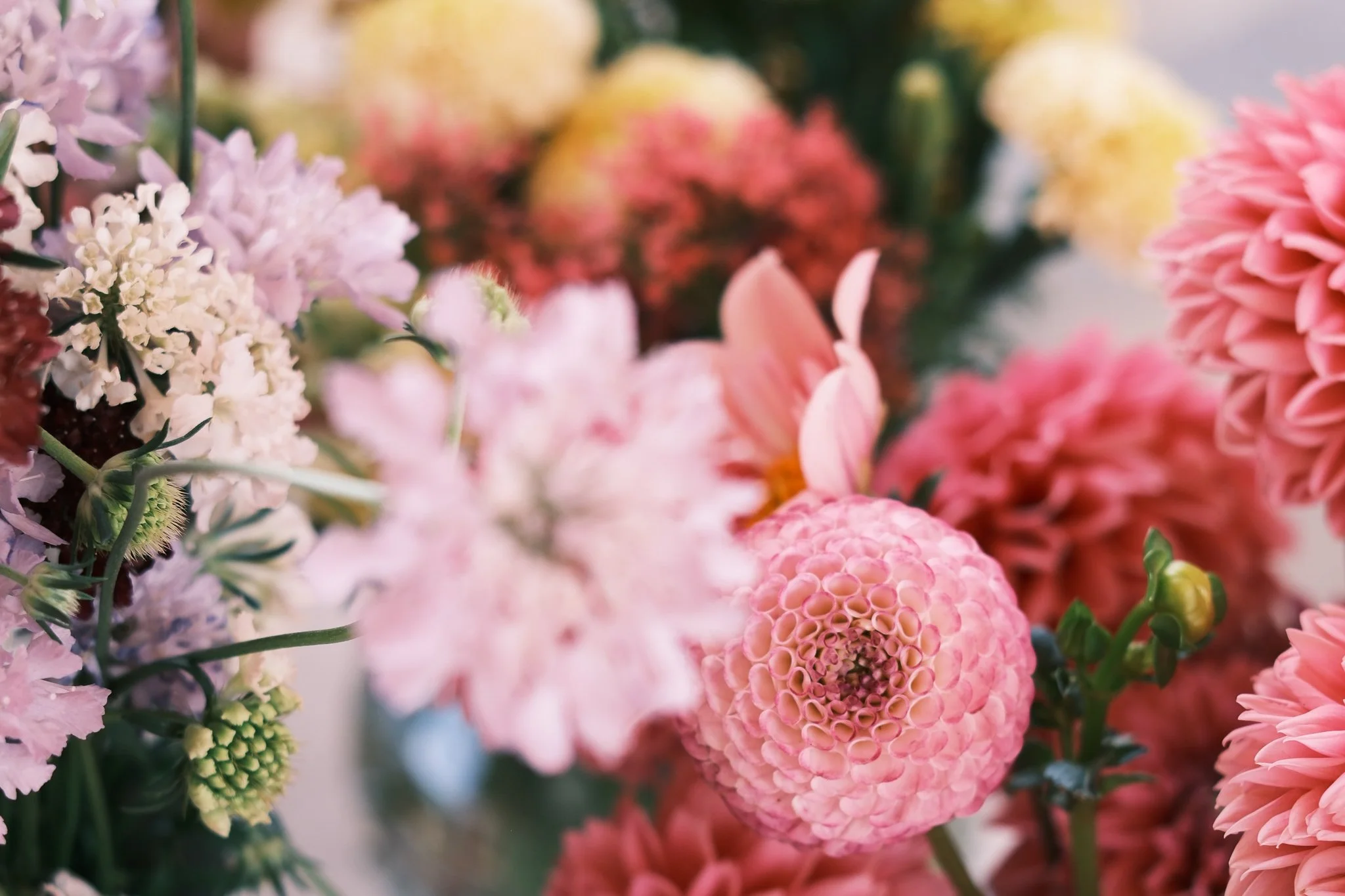 Lannock Retreat 7.8.26_flowers_C Turner-15.jpg