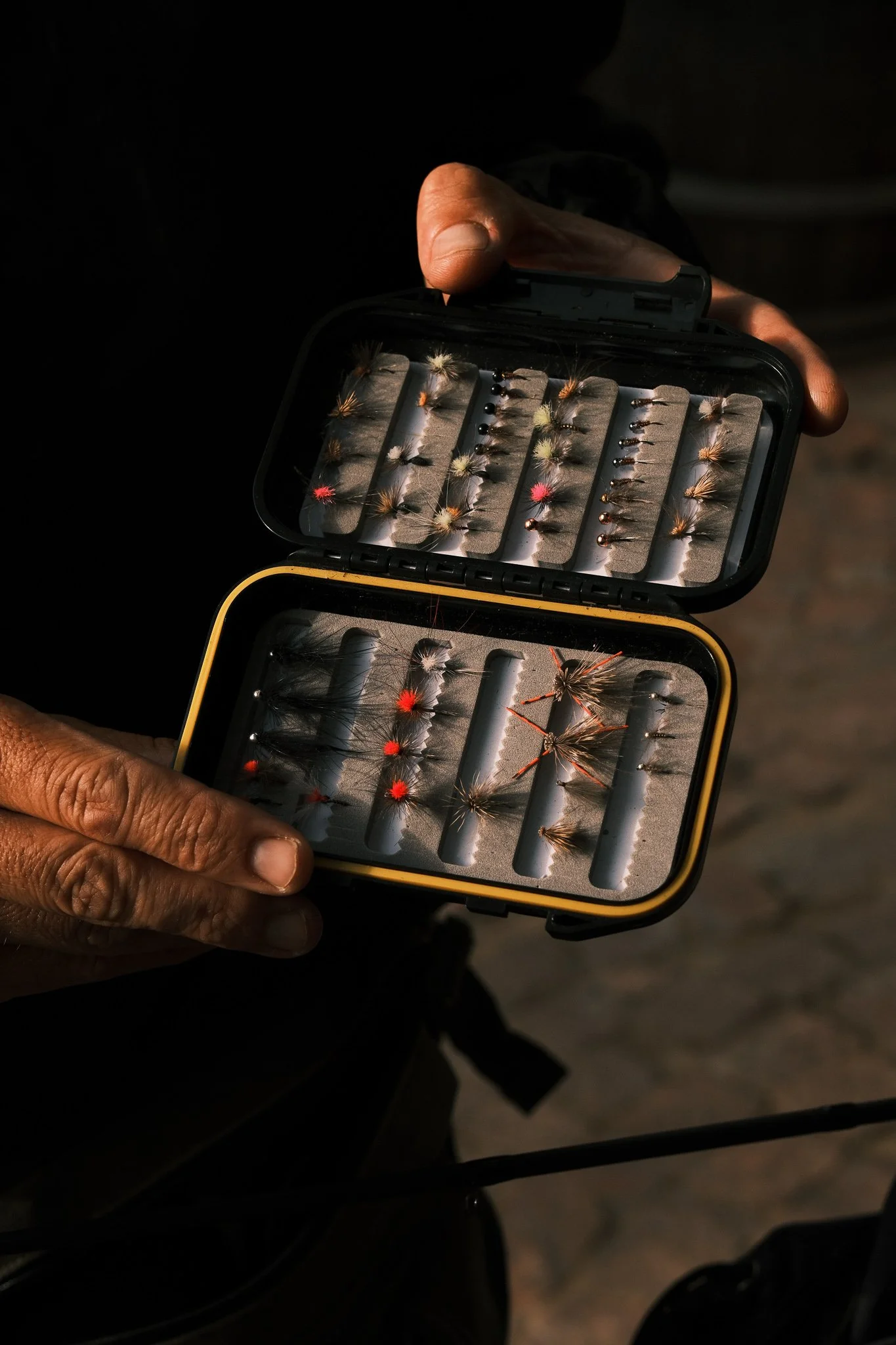 Feather mechanic_socials_CTurner.JPG