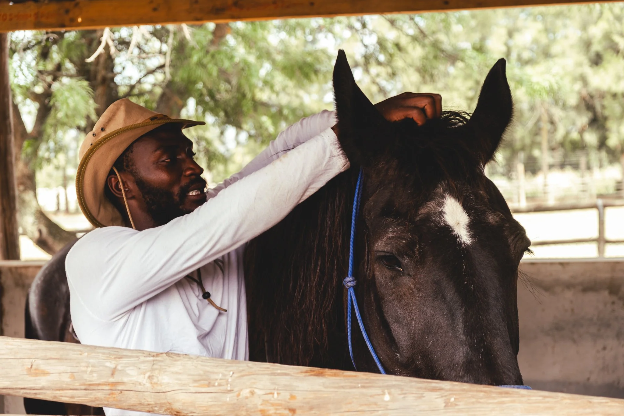 Cape Winelands Riding2landscape2.JPG