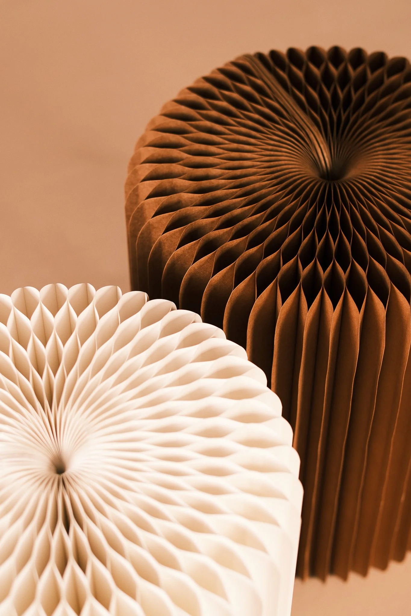 Noko 16.10.05 CTurner-35.jpg