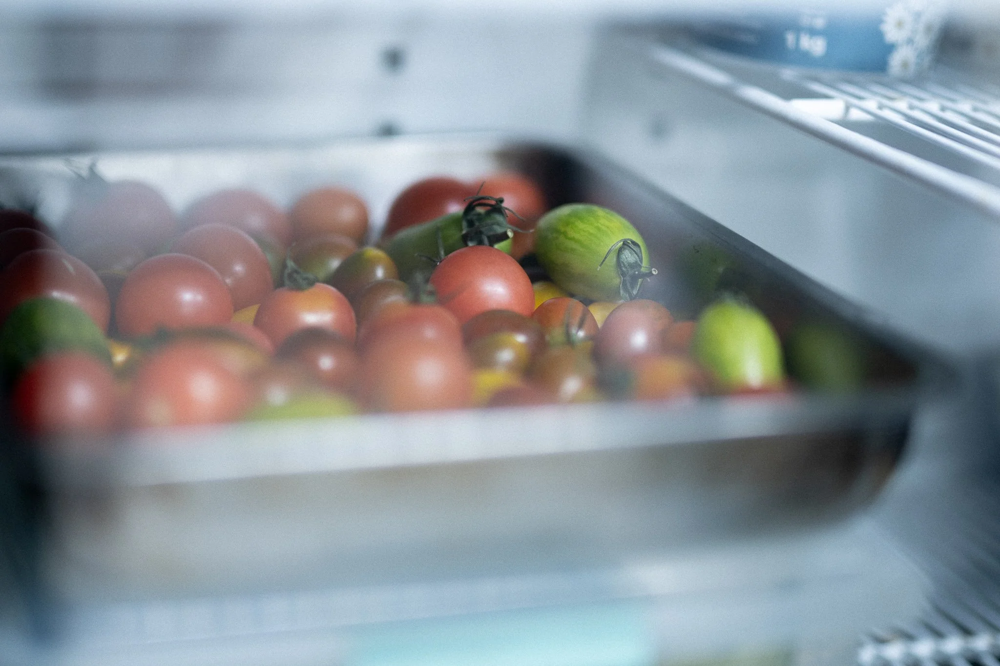 Reverie_C TurnerNov 25-13.jpg