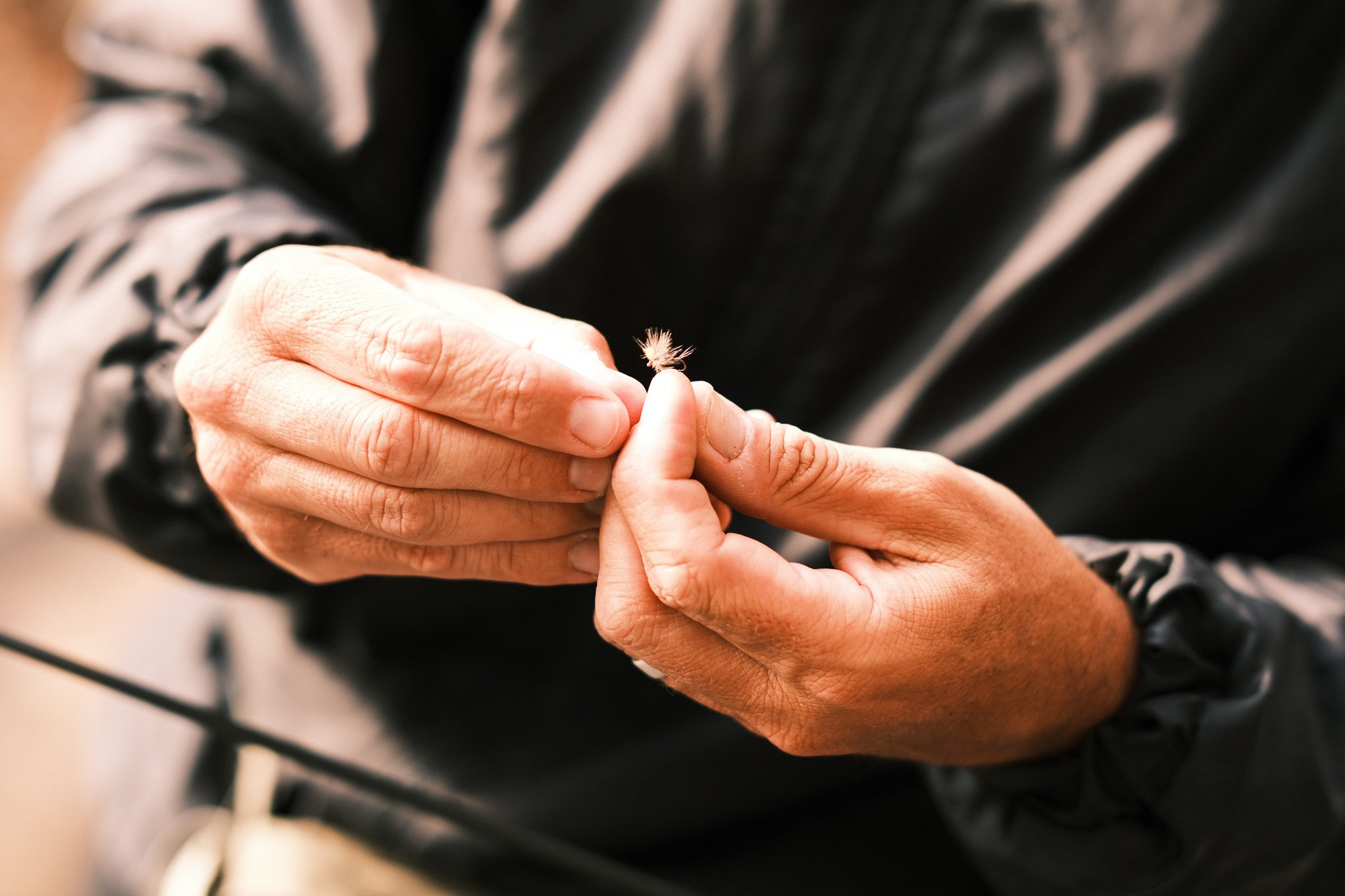 Feather mechanic_socials_CTurner-5.JPG