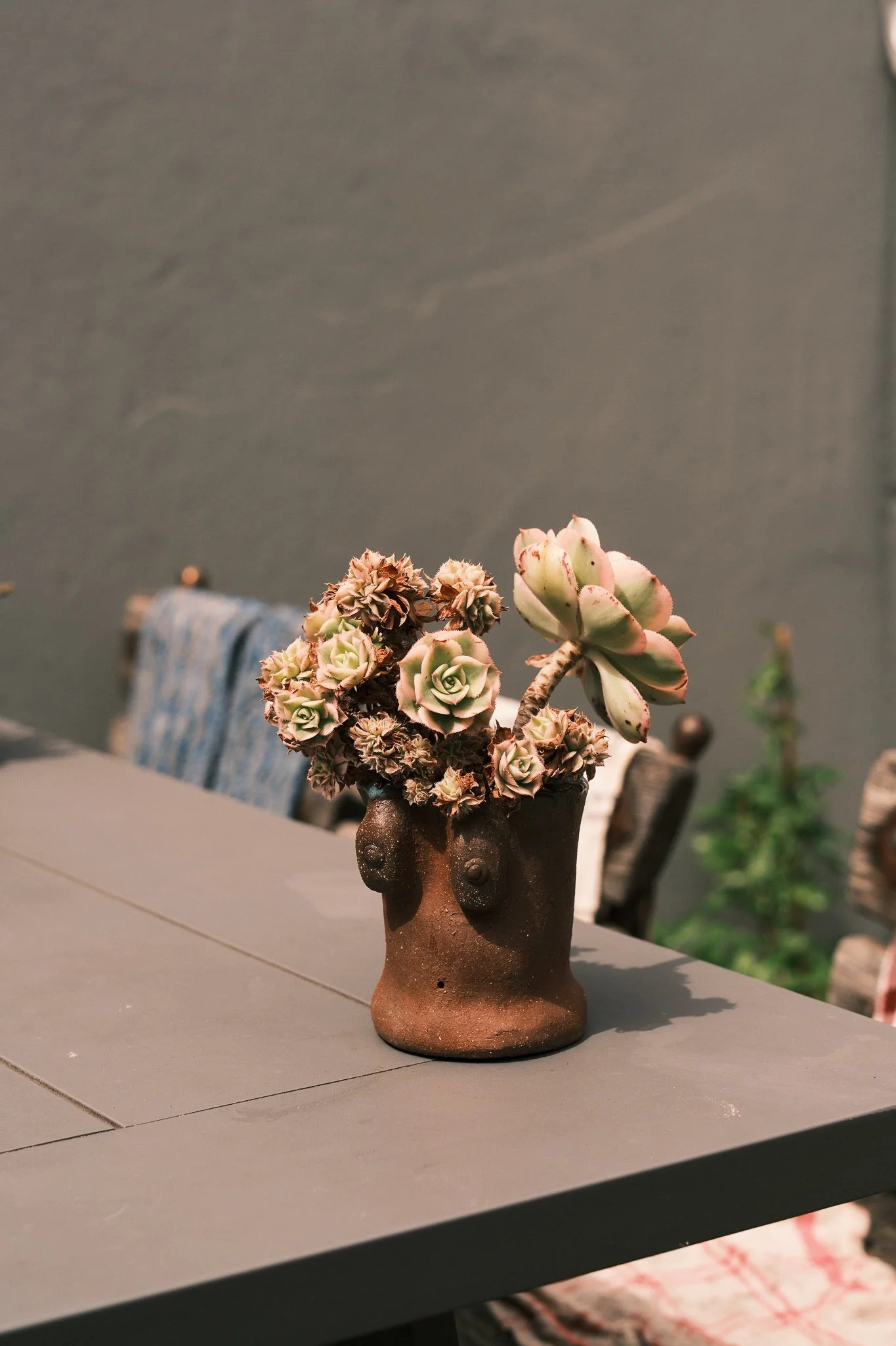 Reverie_C TurnerNov 25-12.jpg