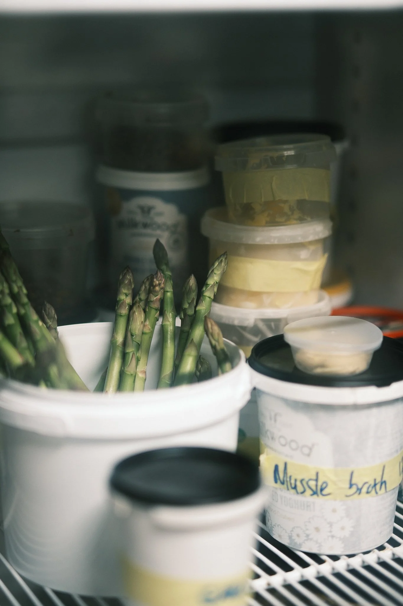 Reverie_C TurnerNov 25-2.jpg