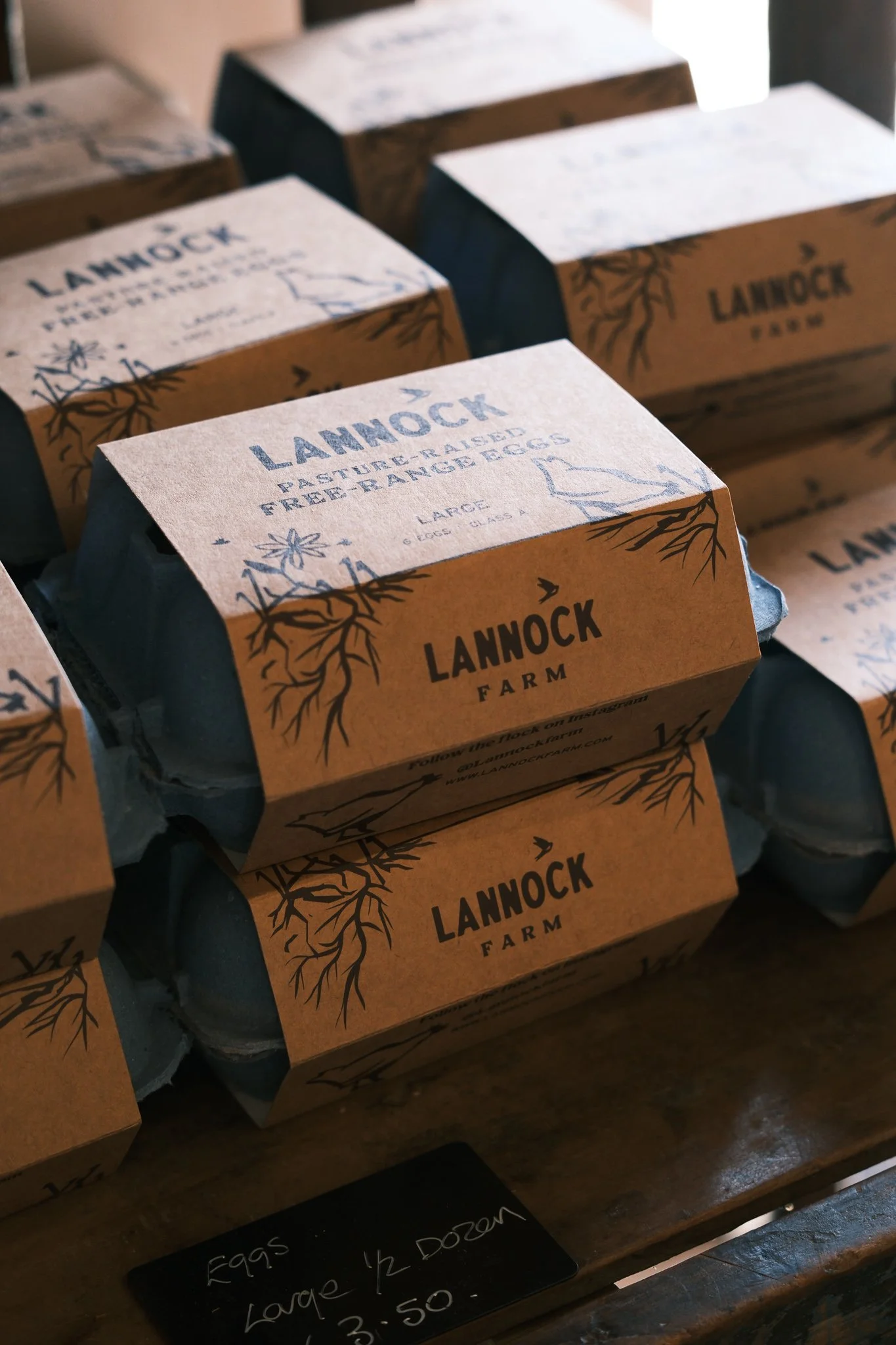 Lannock Retreat 7.8.26_farm_C Turner-11.jpg