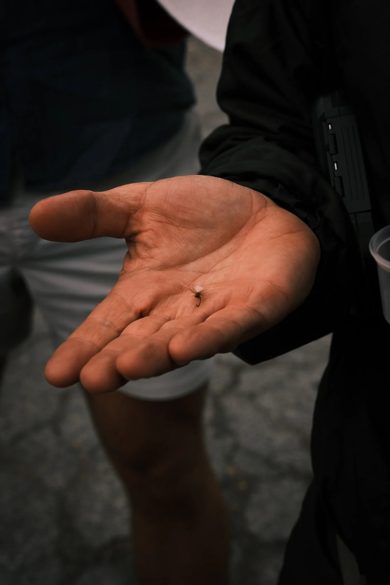 Feather mechanic_socials_CTurner-2.JPG