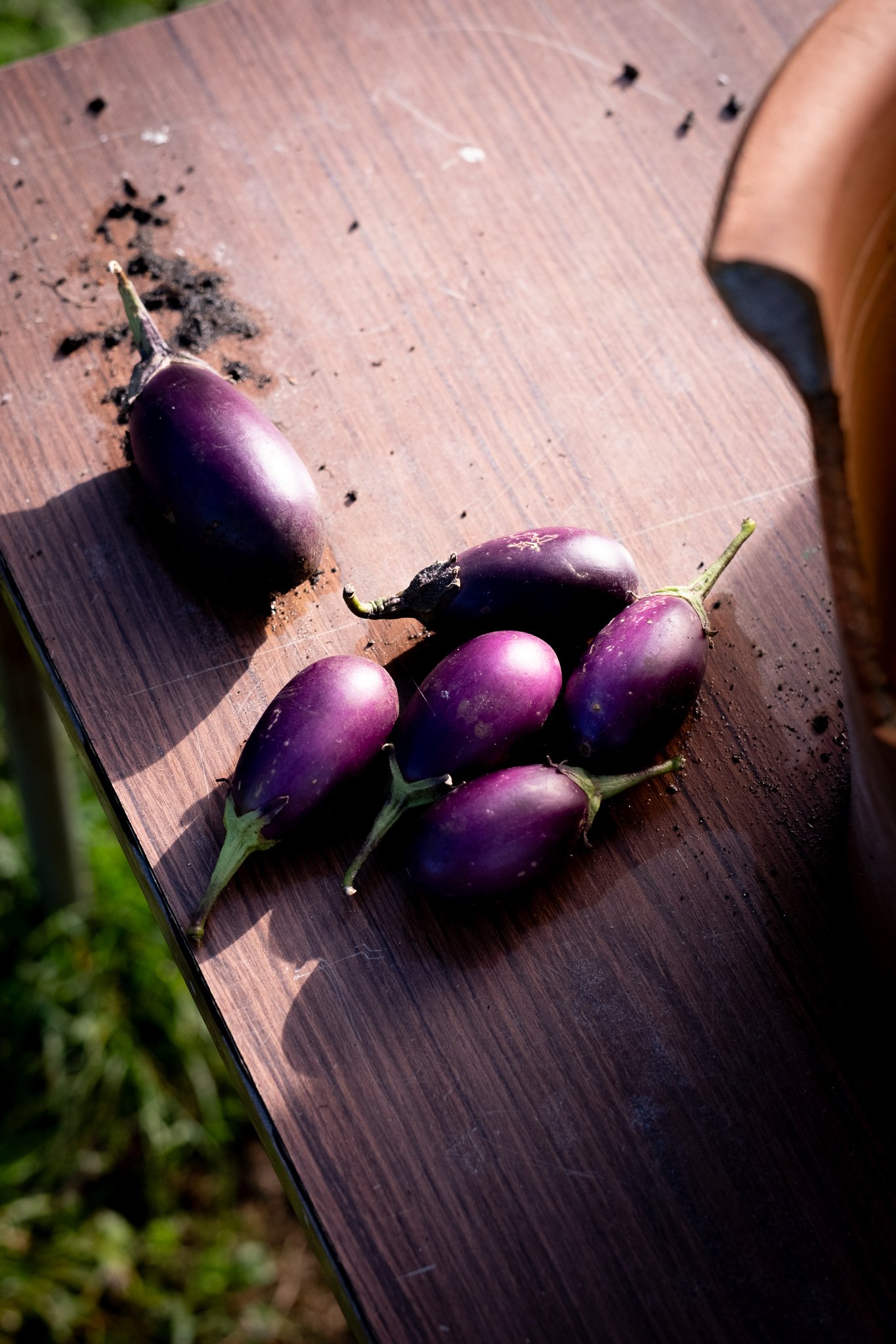 Greencare_Cillian_C Turner_socials 2-17.jpg