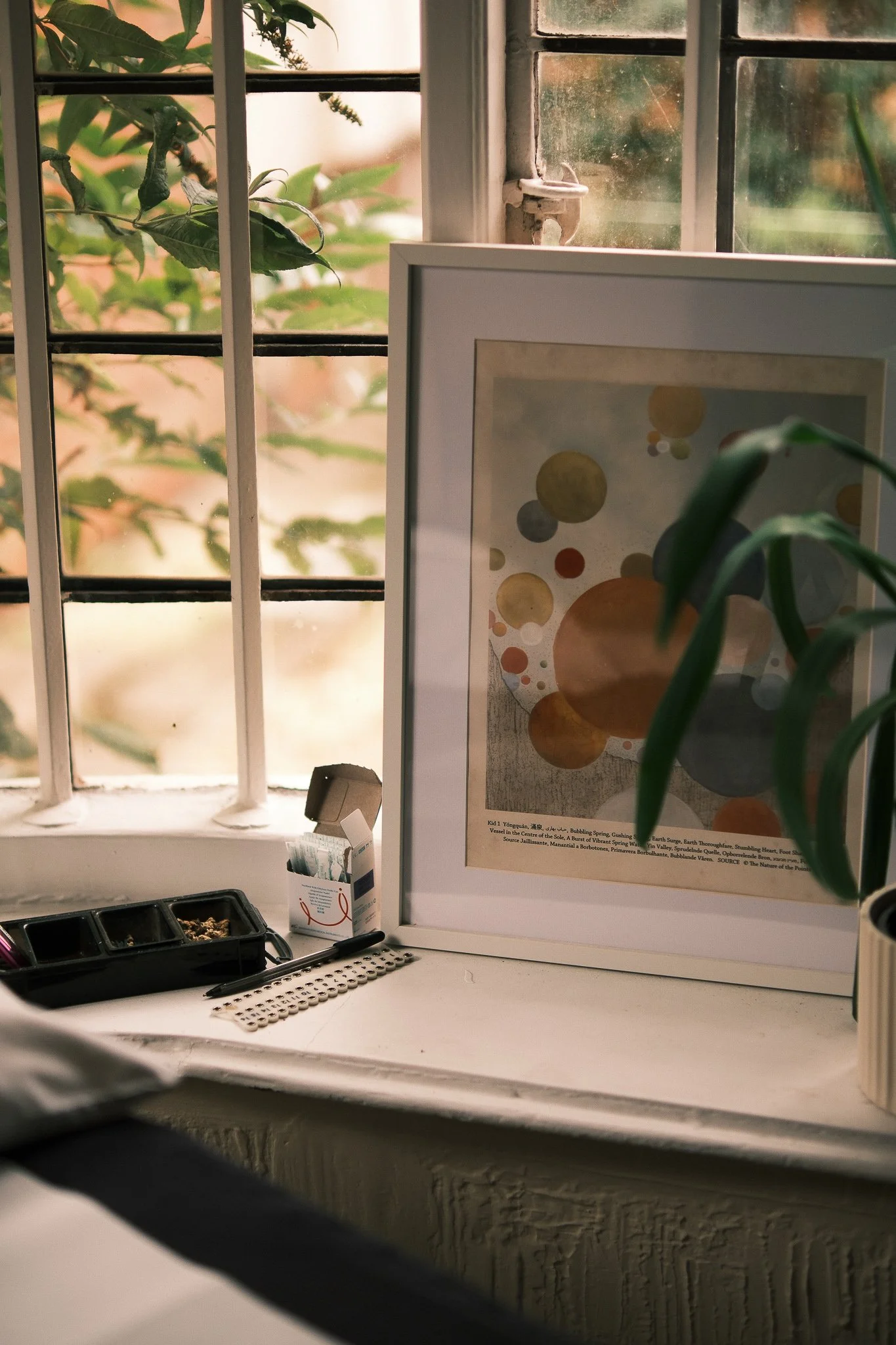 Emma Acu_Oct 25_C Turner_socials-1.jpg