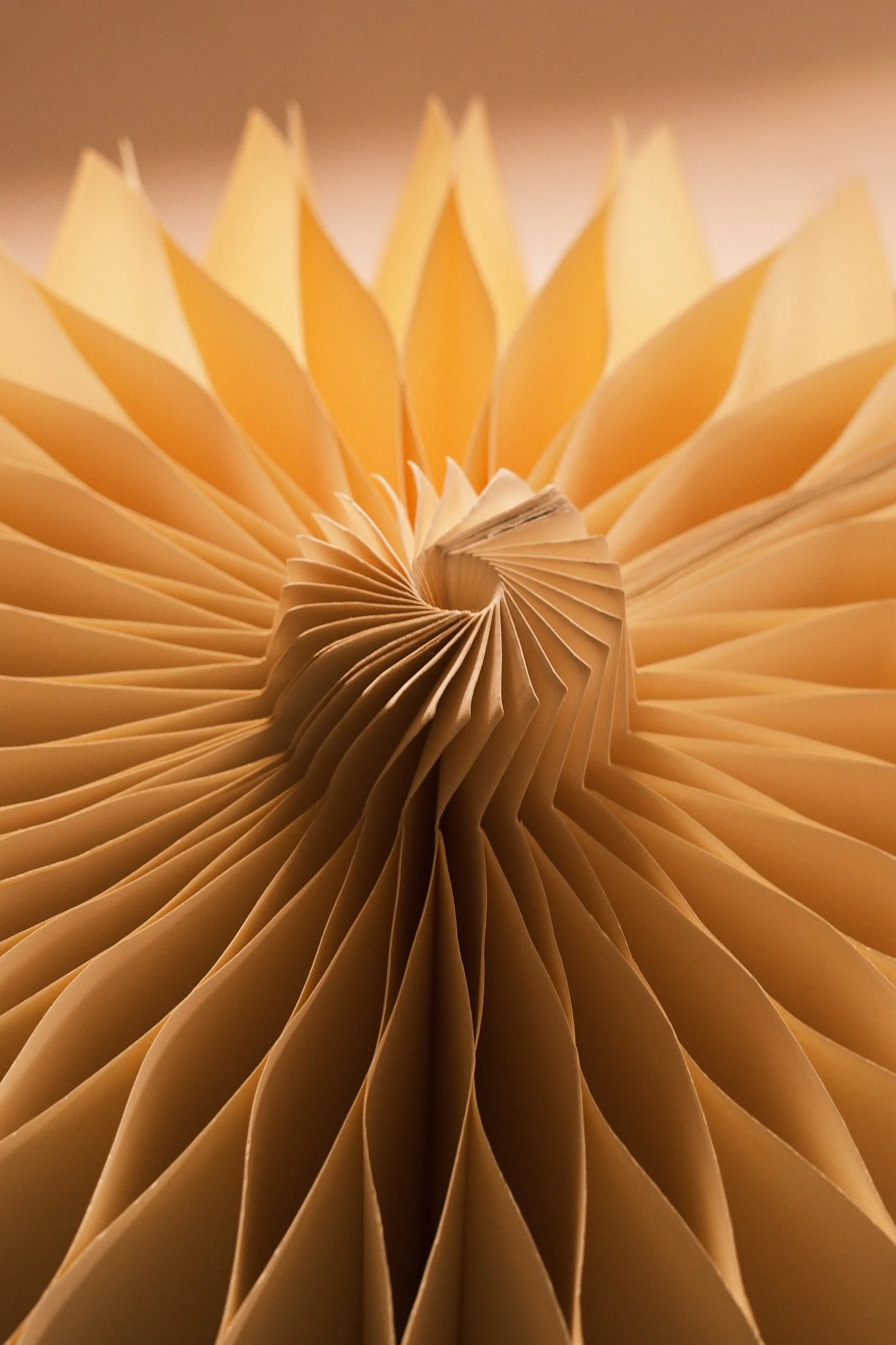 Noko 16.10.05 CTurner-45.jpg