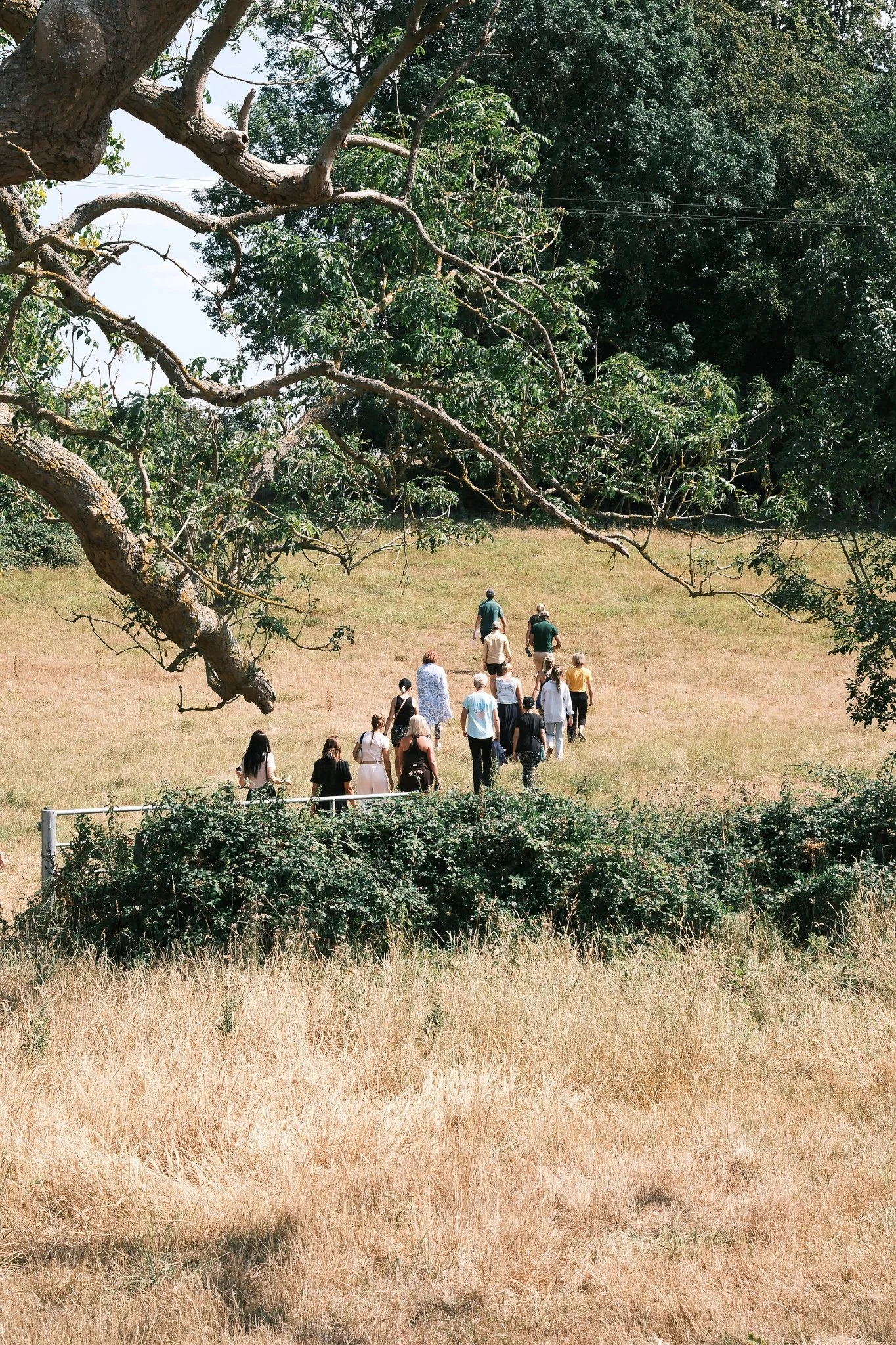 Lannock Retreat 7.8.26_farm_C Turner-36.jpg