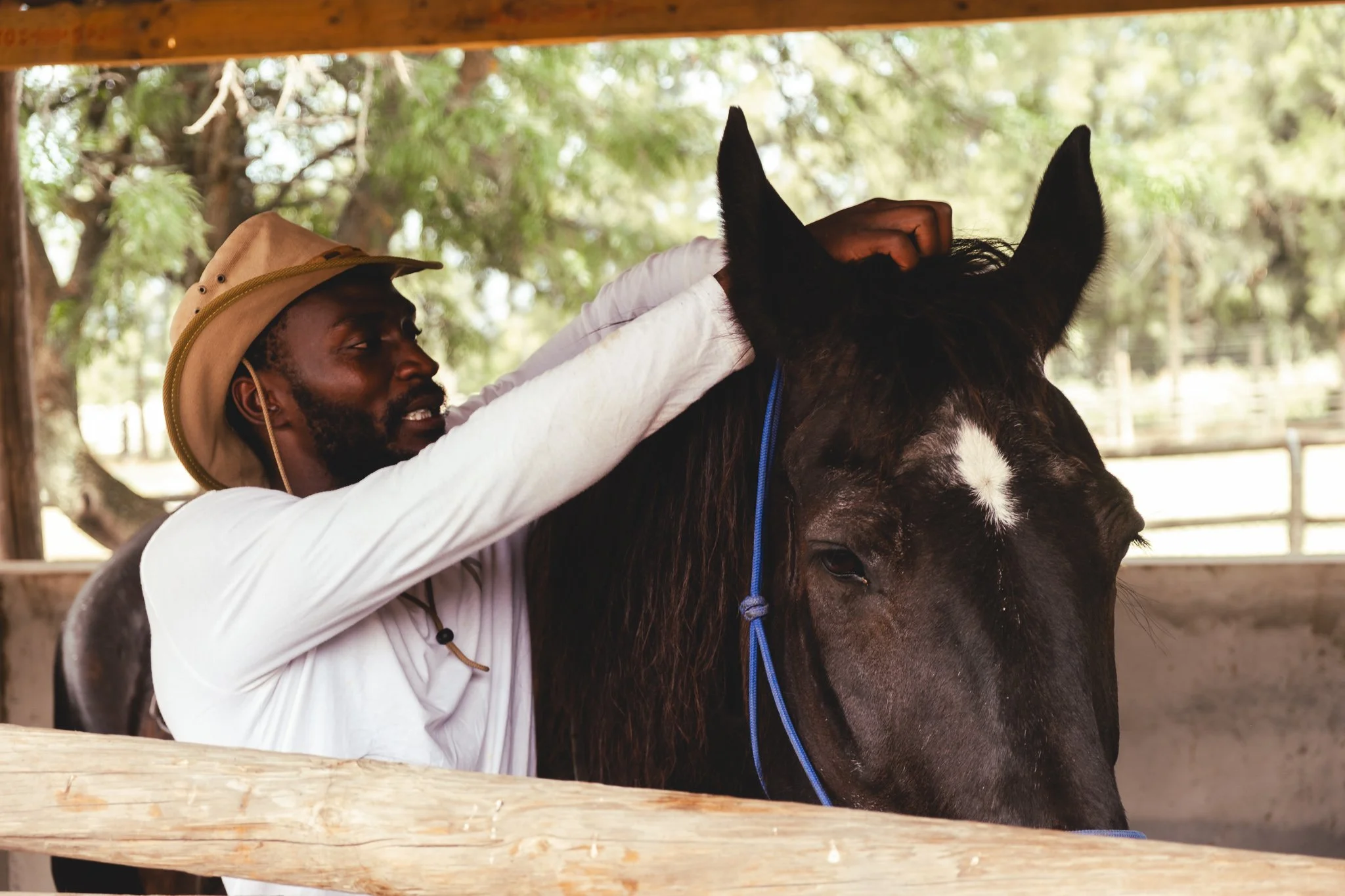 Cape Winelands Riding2-4.JPG