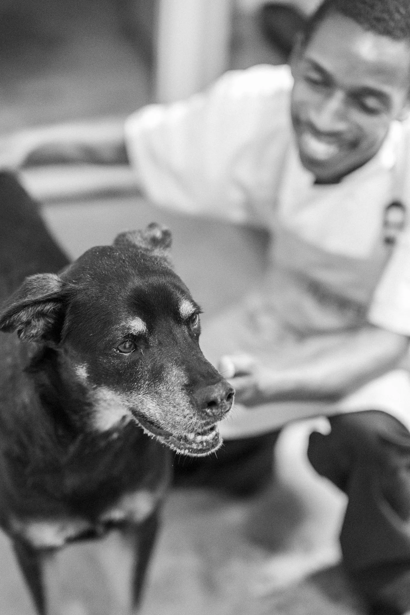 Reverie_C TurnerNov 25-7.jpg