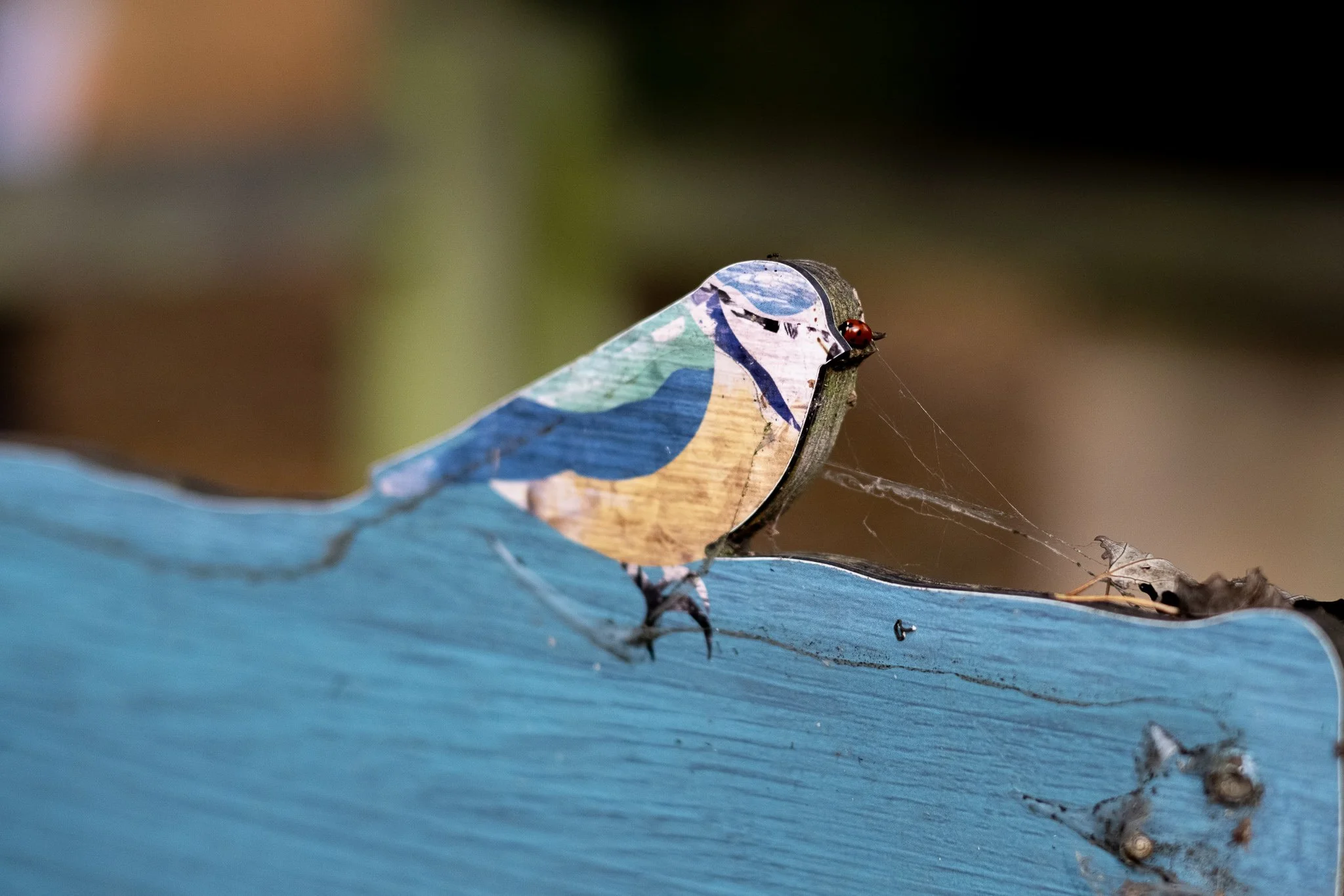 Greencare_Cillian_C Turner_socials 2-18.jpg