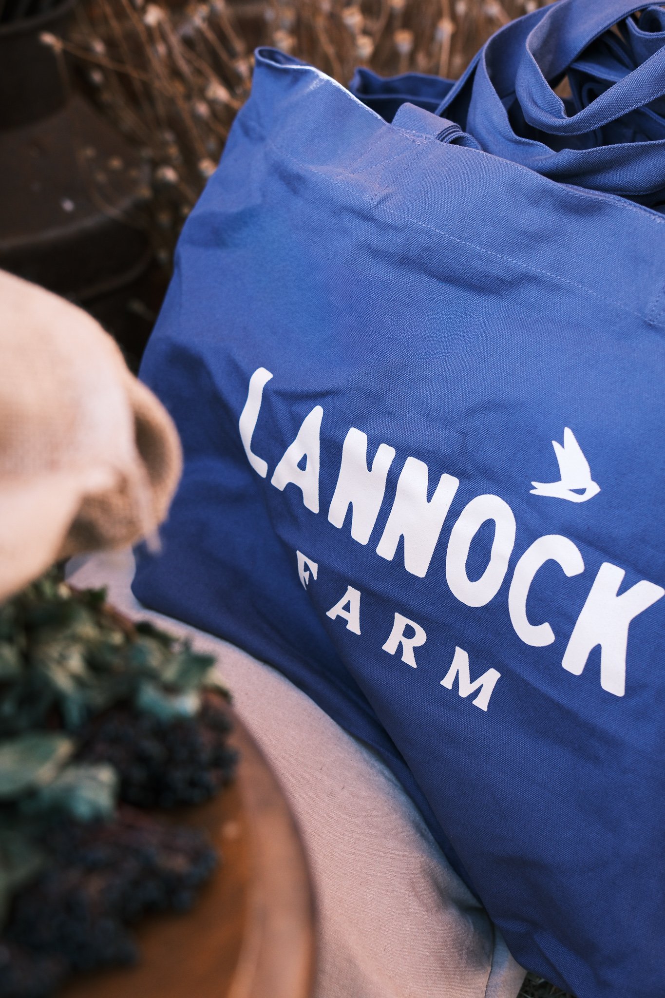 Lannock Farm Summer Retreat 