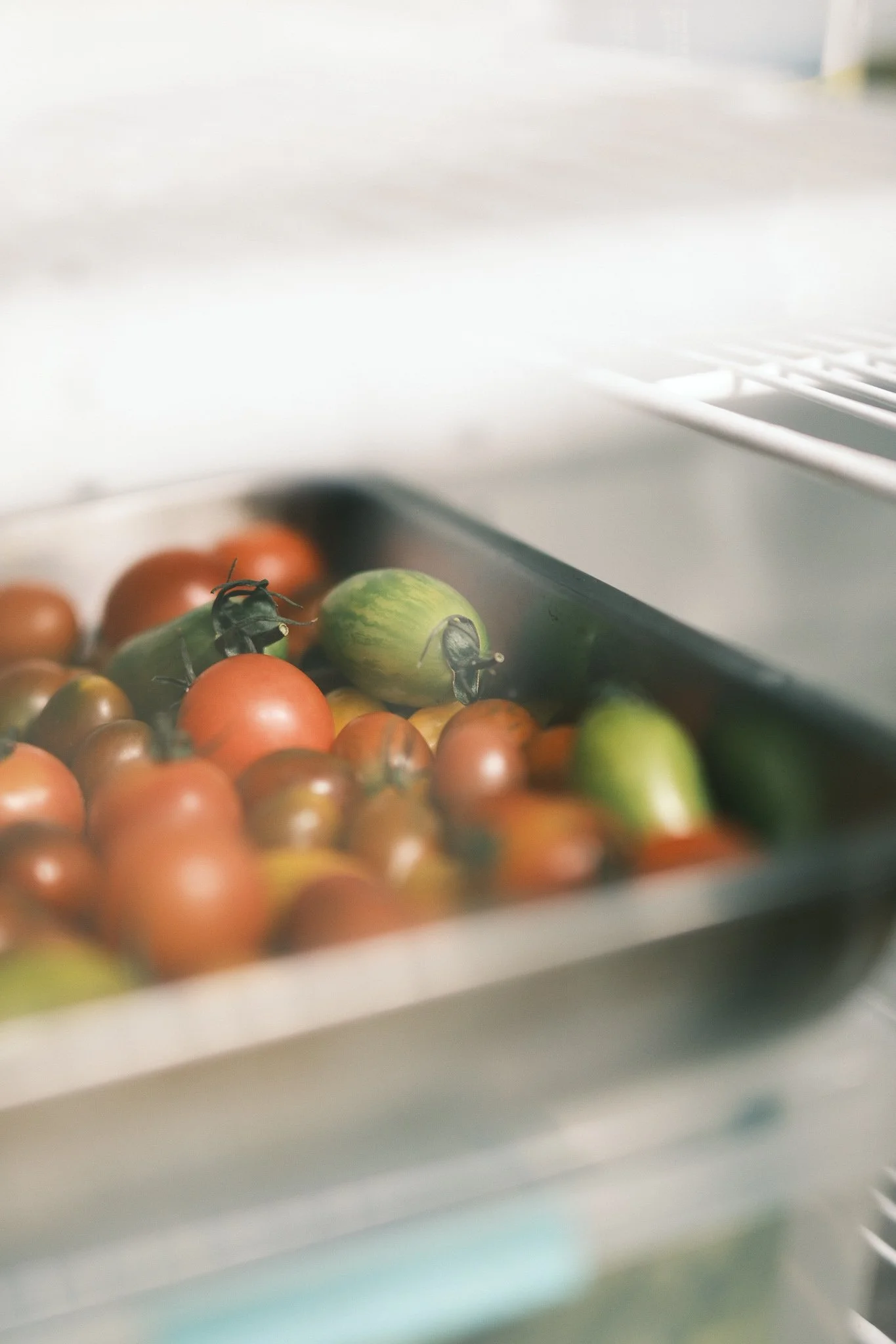 Reverie_C TurnerNov 25-4.jpg