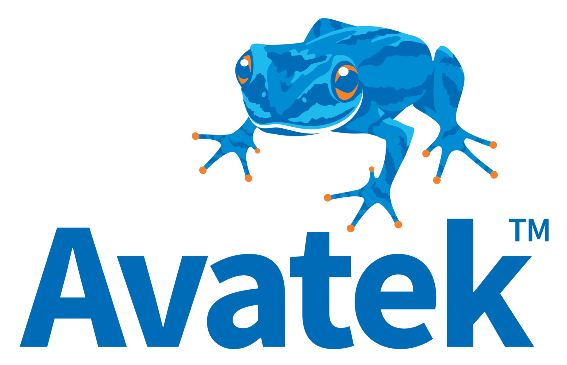 Illustration of a frog with a blue and orange color scheme, exhibiting a digital or cybernetic aesthetic.