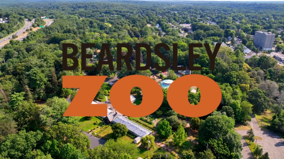 Beardsley Zoo