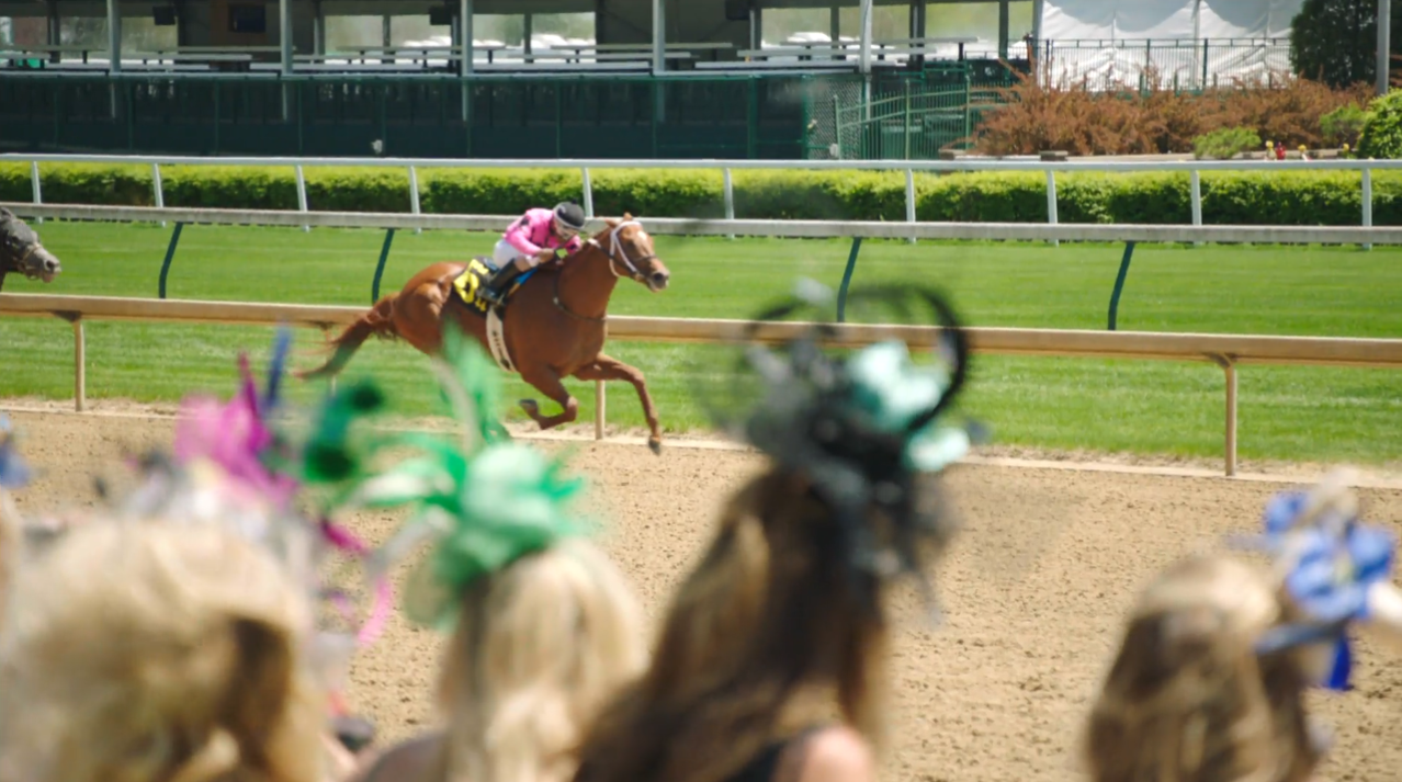 The Run for the Roses 